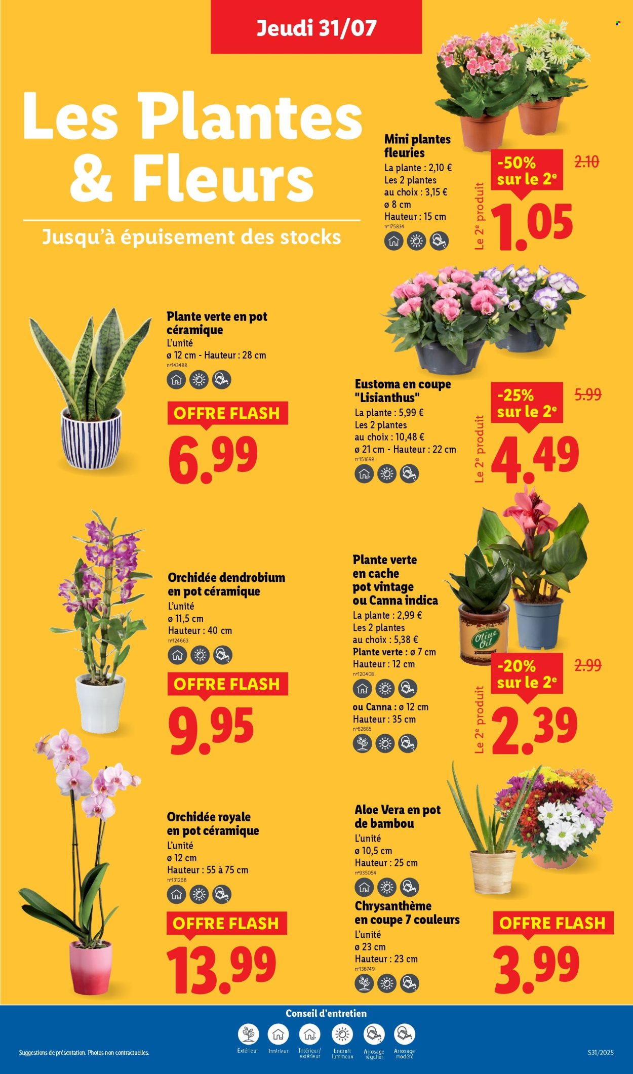 Catalogue Lidl - 31/07/2025 - 06/08/2025. Page 29