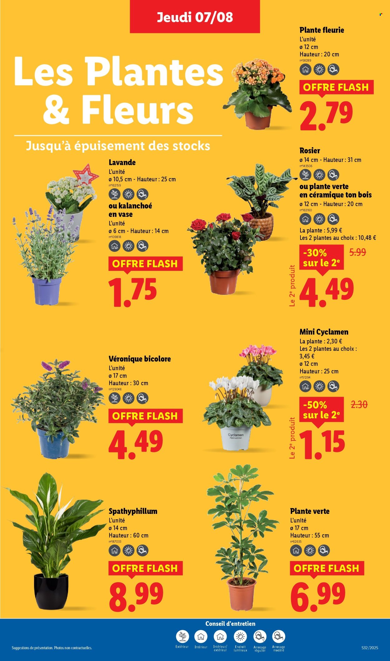 Catalogue Lidl - 07/08/2025 - 13/08/2025. Page 29