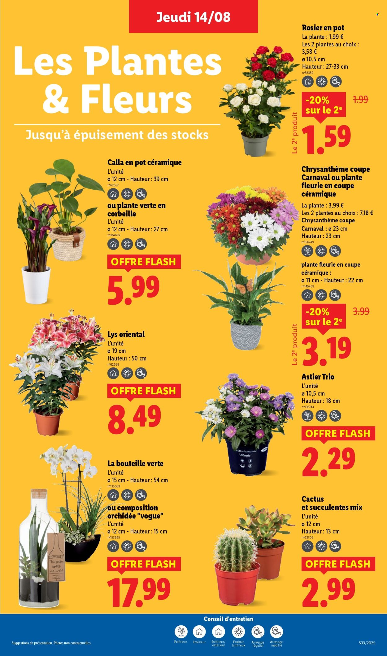 Catalogue Lidl - 14/08/2025 - 20/08/2025. Page 27