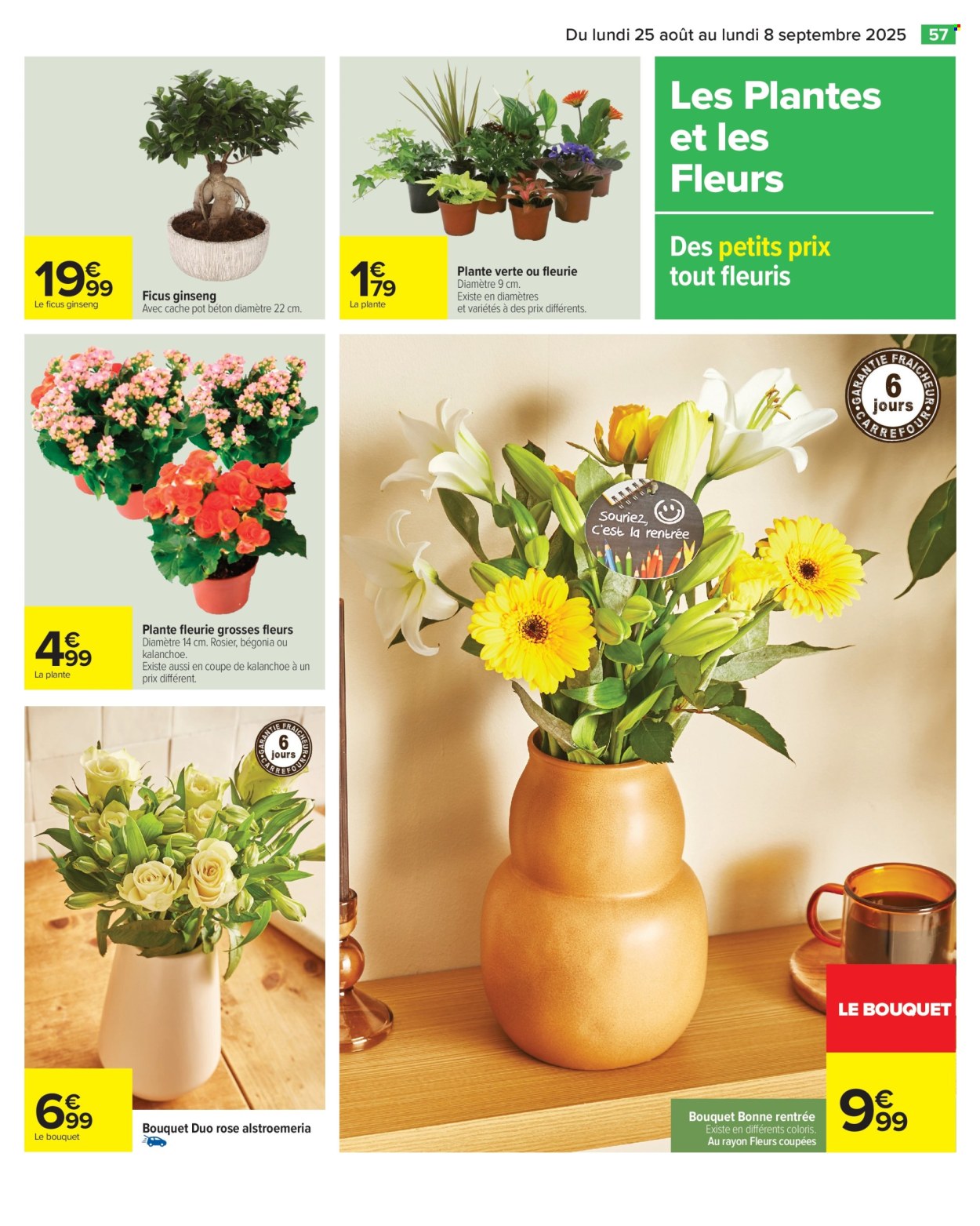 Catalogue Carrefour Hypermarchés - 25/08/2025 - 08/09/2025. Page 59