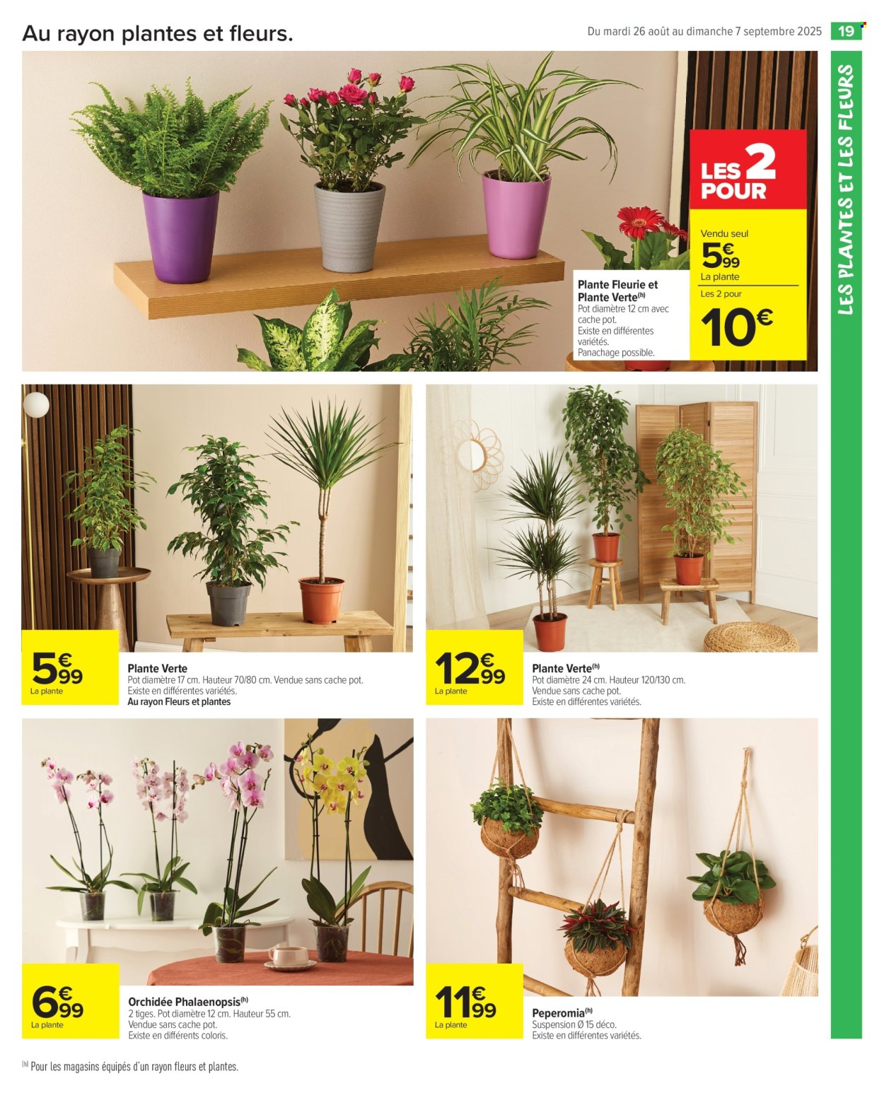 Catalogue Carrefour Market - 26/08/2025 - 07/09/2025. Page 21