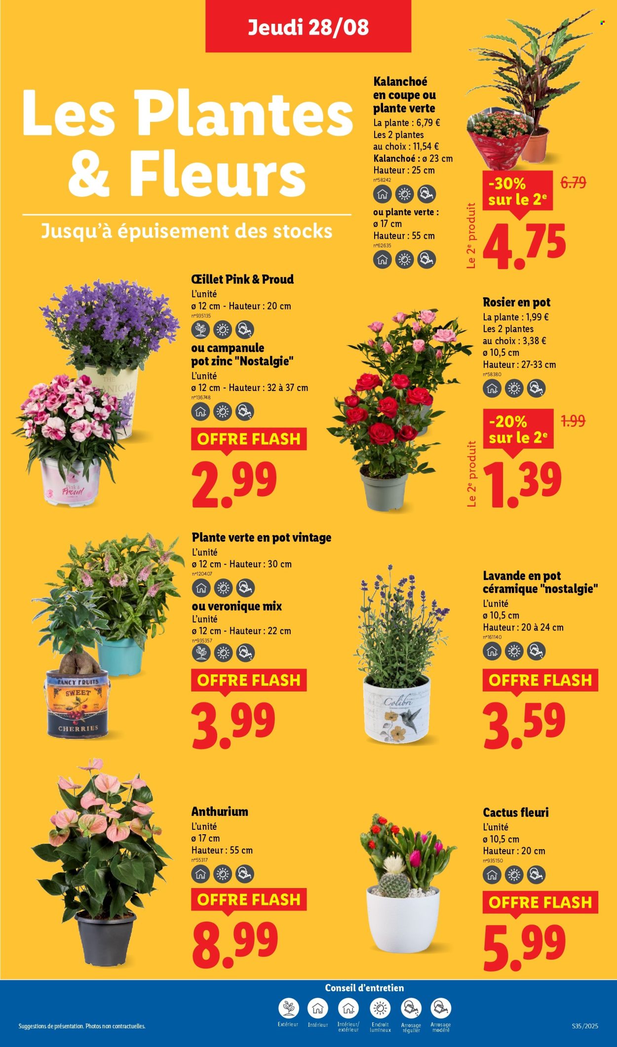 Catalogue Lidl - 28/08/2025 - 03/09/2025. Page 27