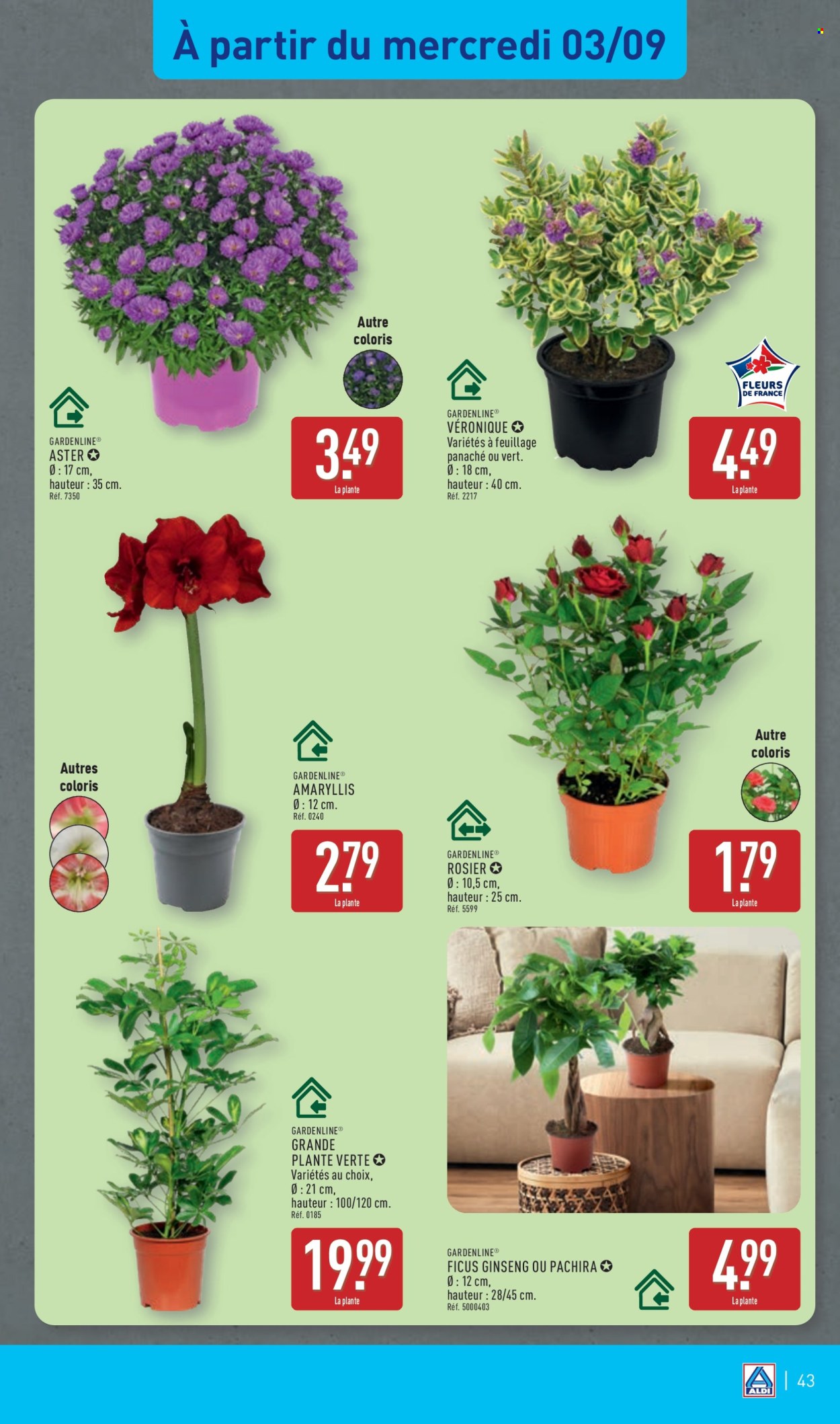 Catalogue ALDI - 02/09/2025 - 08/09/2025. Page 46