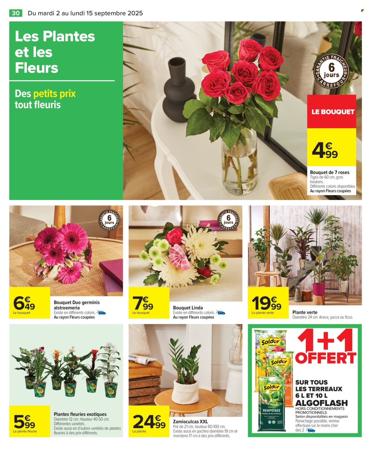 Catalogue Carrefour Hypermarchés - 02/09/2025 - 15/09/2025. Page 32