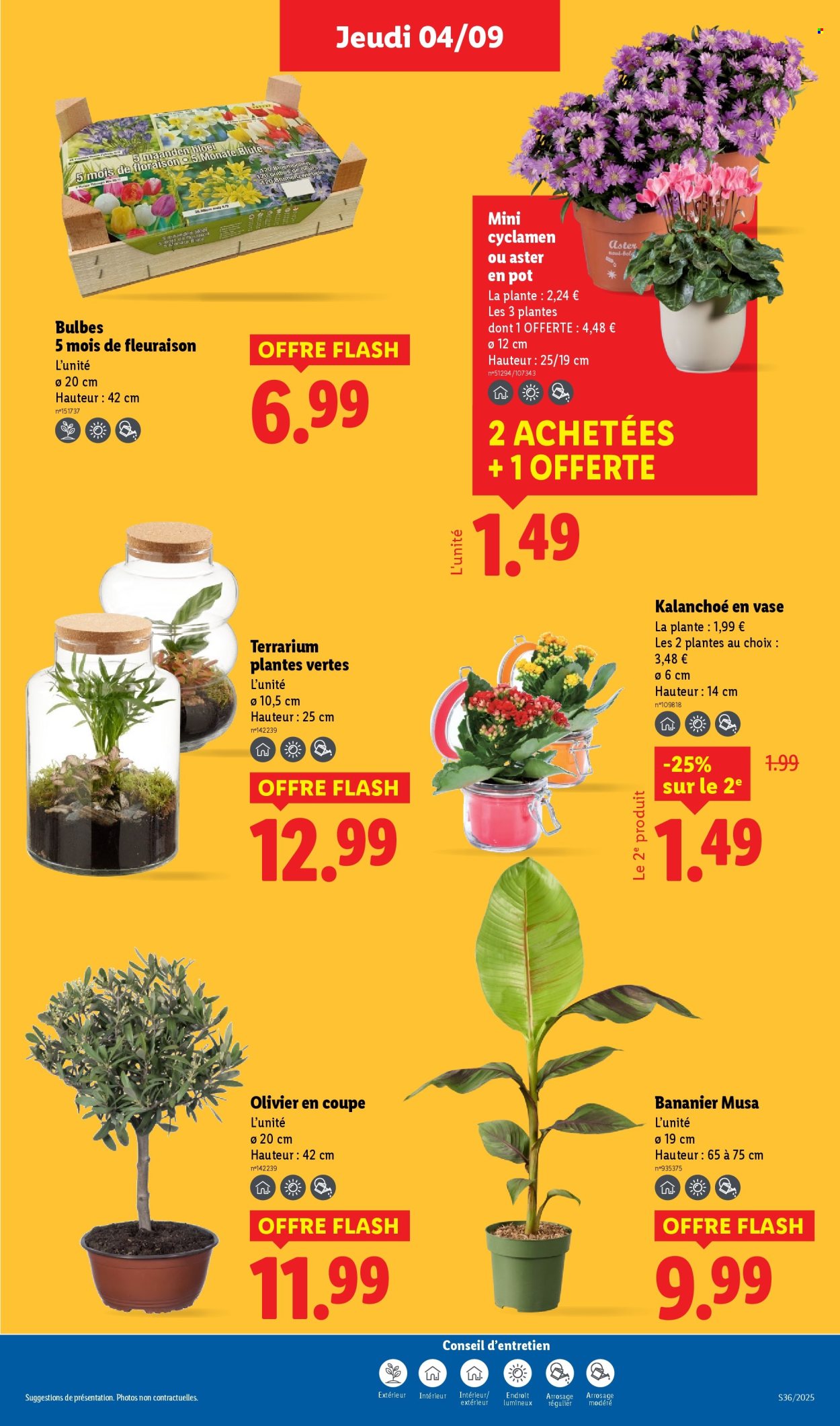 Catalogue Lidl - 04/09/2025 - 10/09/2025. Page 31