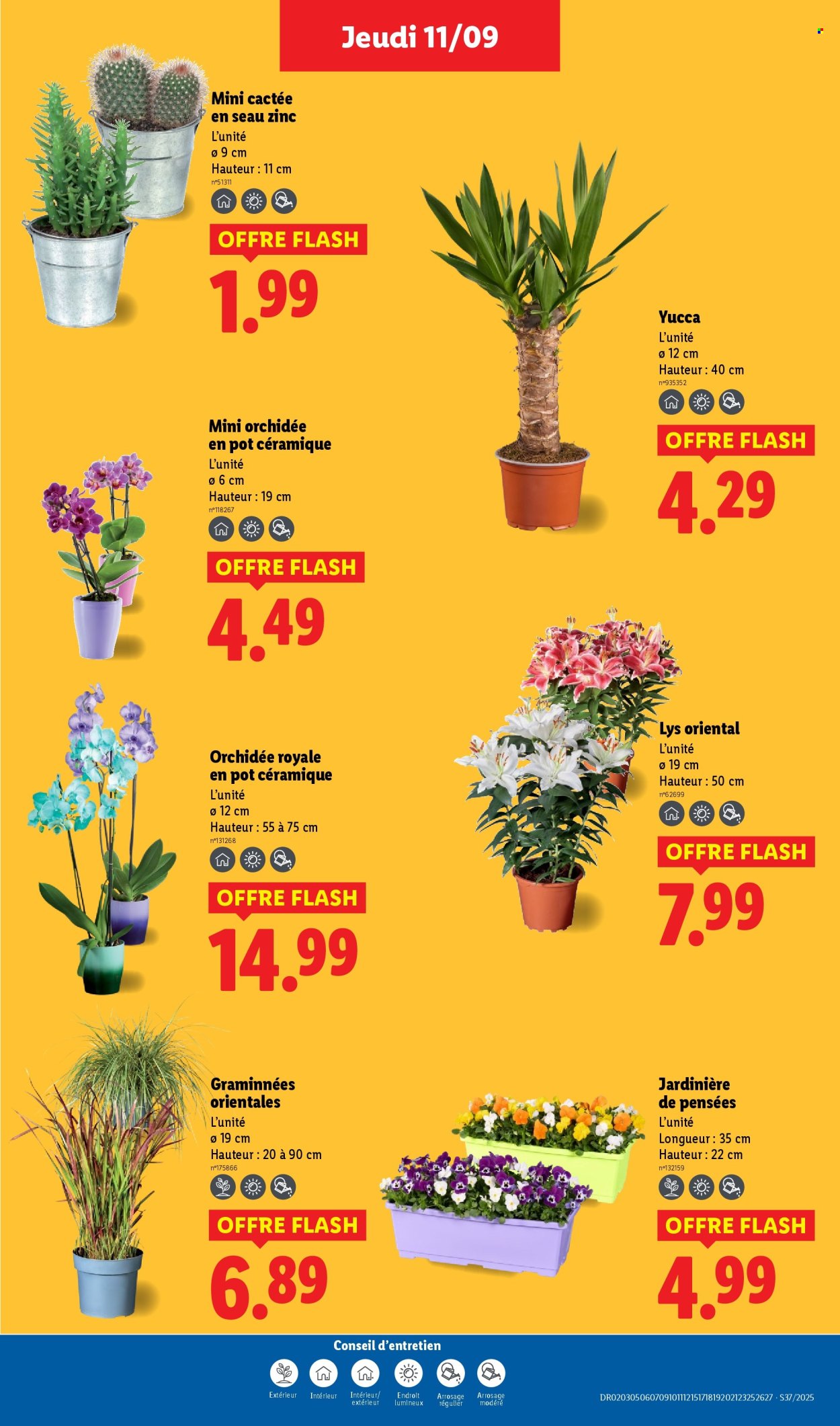 Catalogue Lidl - 11/09/2025 - 17/09/2025. Page 29