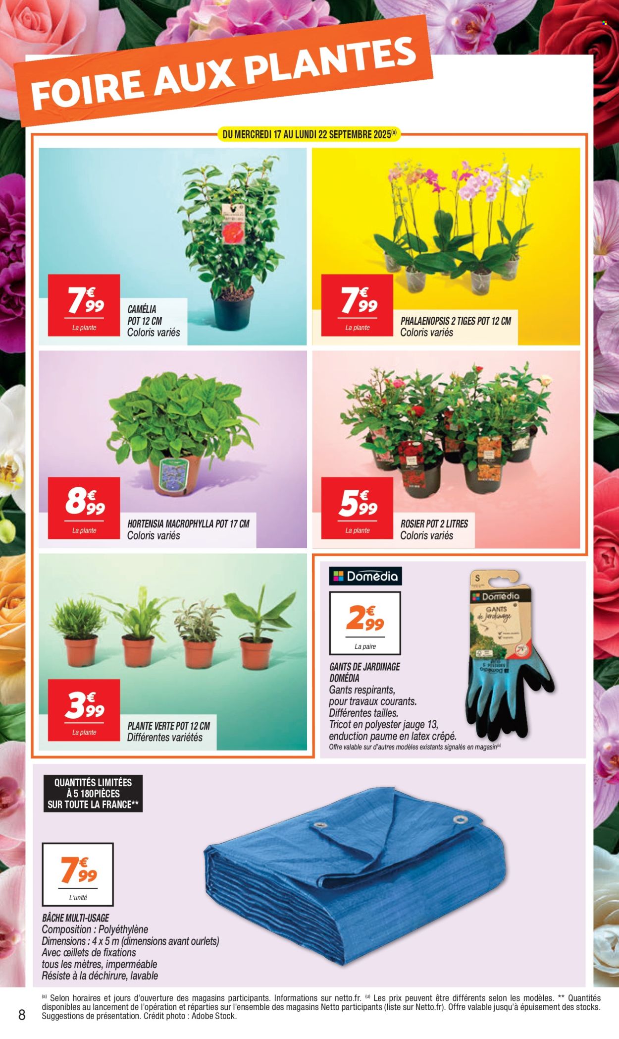 Catalogue Netto - 16/09/2025 - 22/09/2025. Page 8