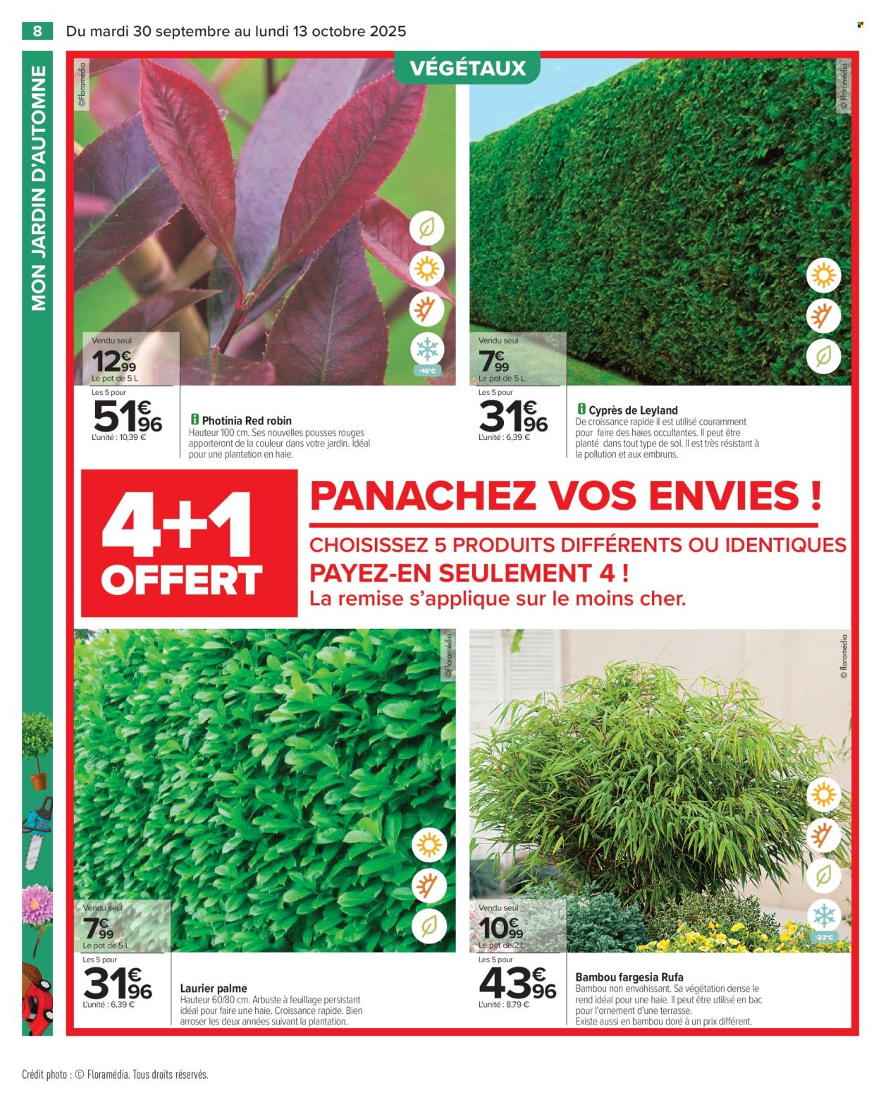 Catalogue Carrefour Hypermarchés - 30/09/2025 - 13/10/2025. Page 10