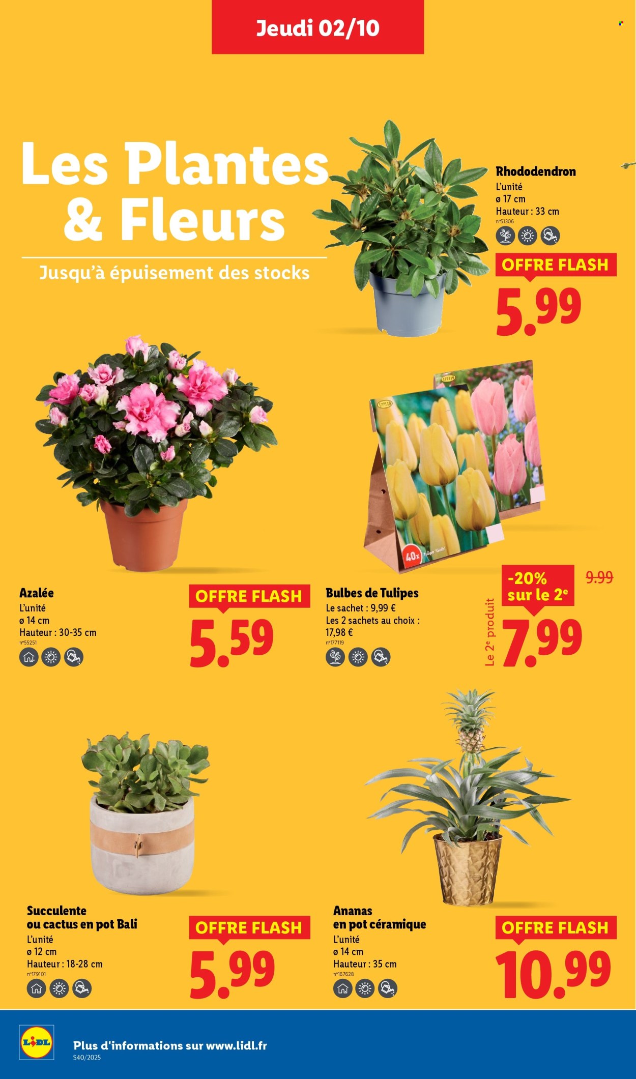 Catalogue Lidl - 02/10/2025 - 08/10/2025. Page 28