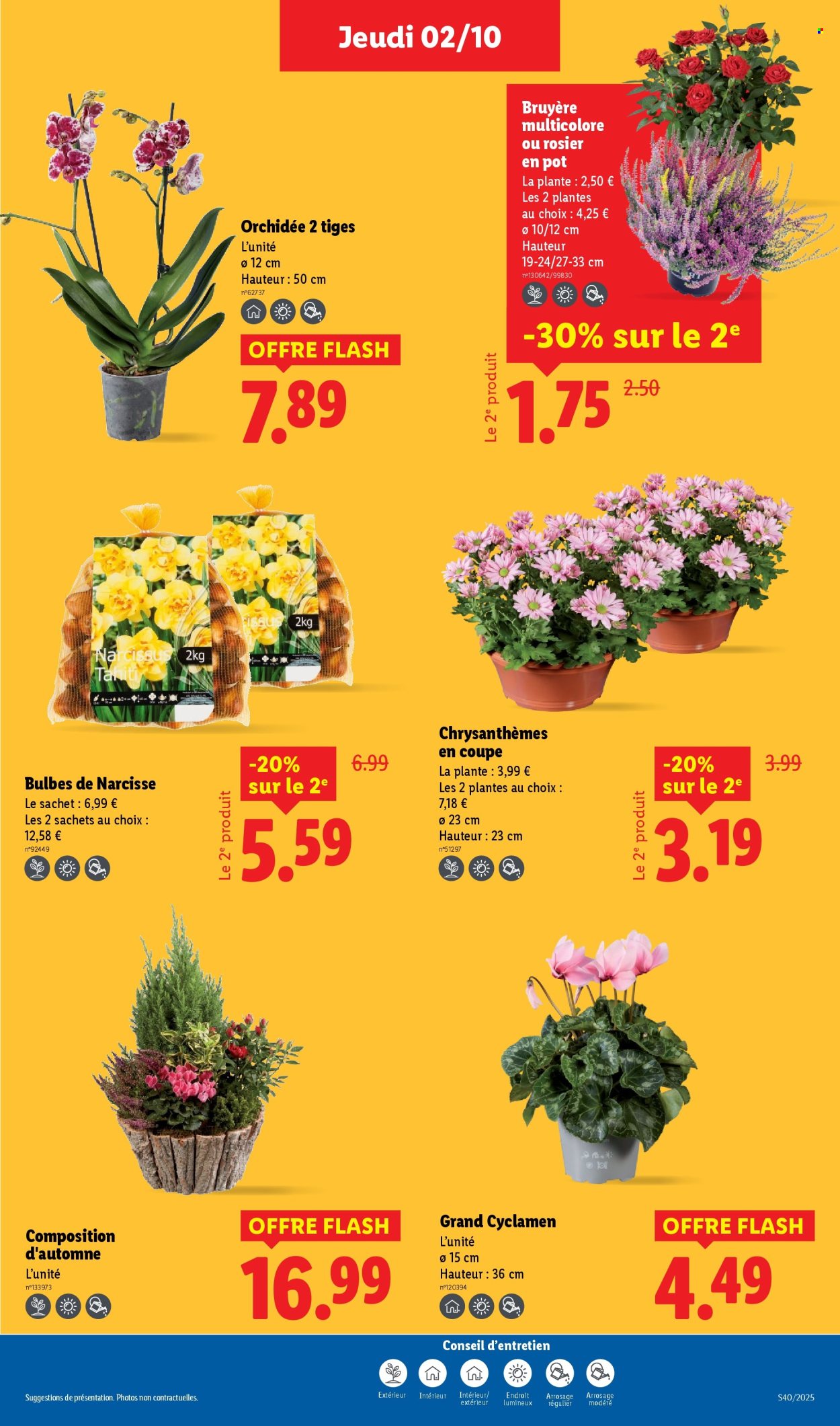 Catalogue Lidl - 02/10/2025 - 08/10/2025. Page 29