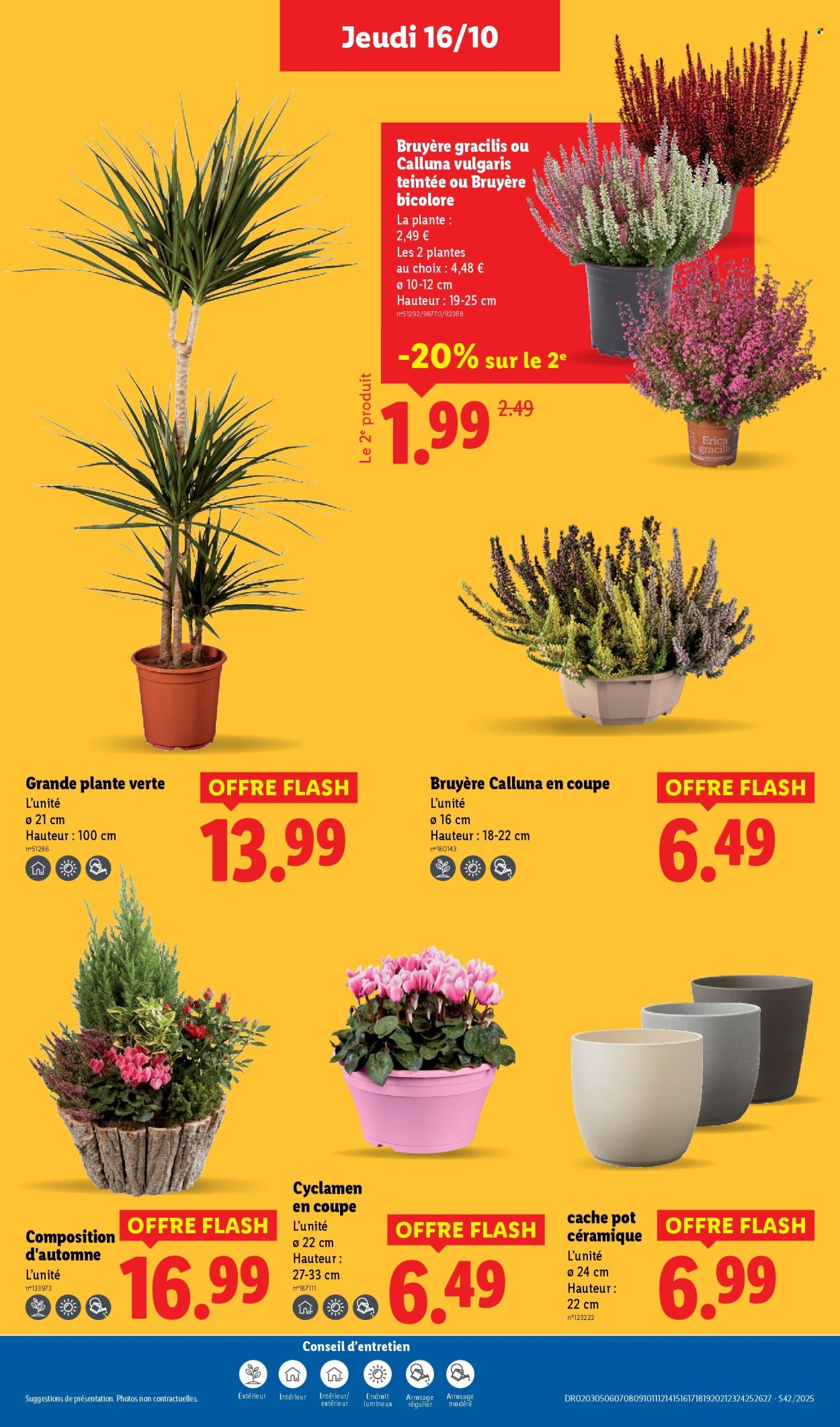 Catalogue Lidl - 16/10/2025 - 22/10/2025. Page 37