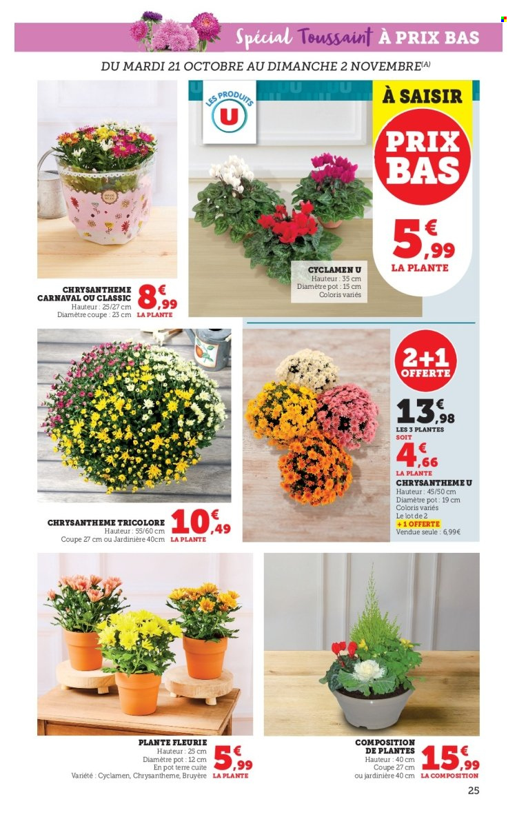 Catalogue SUPER U - 21/10/2025 - 02/11/2025. Page 25