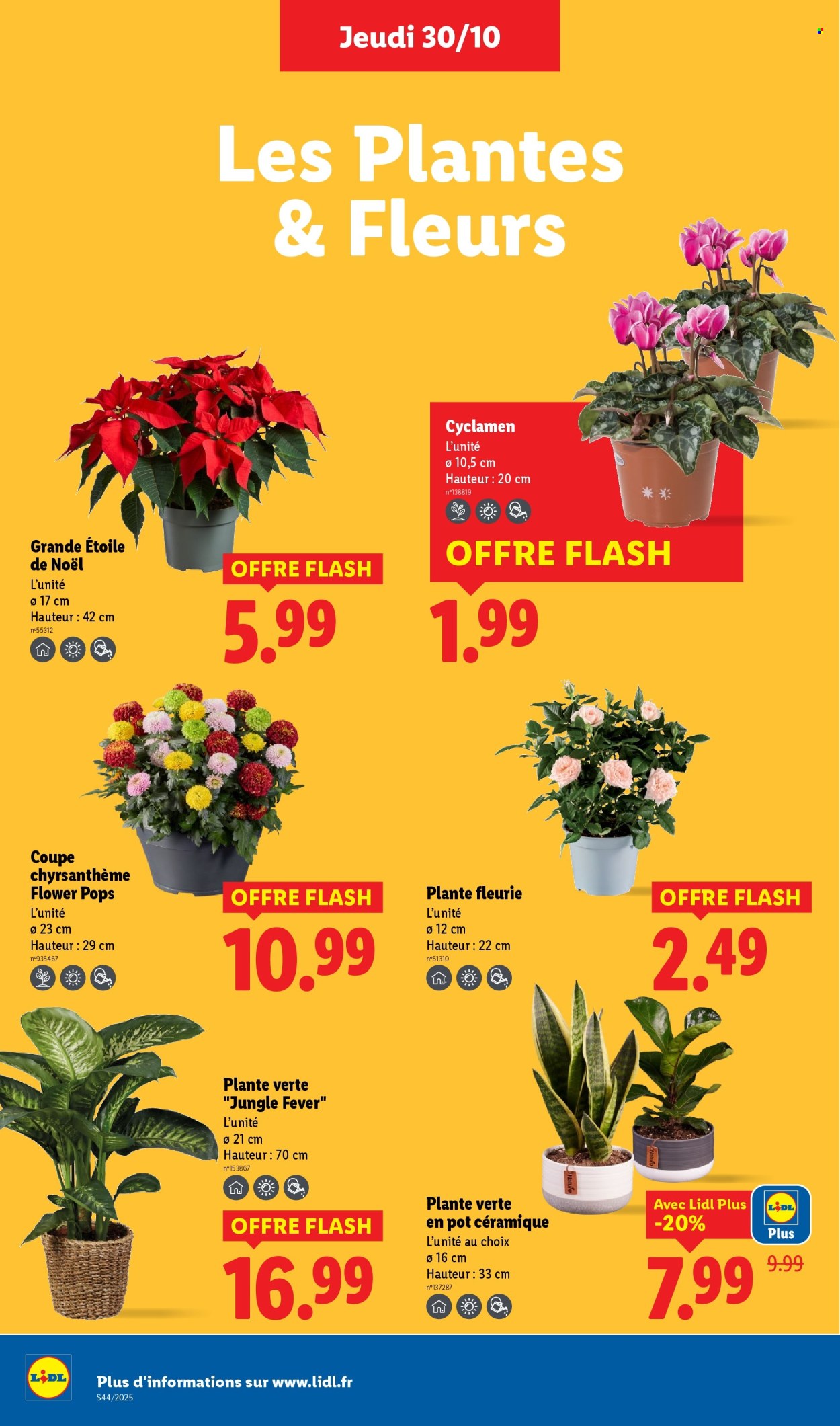 Catalogue Lidl - 30/10/2025 - 05/11/2025. Page 32