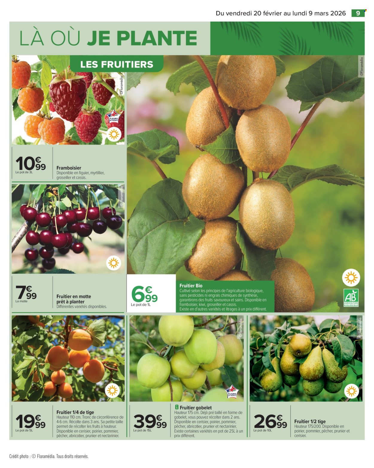 Catalogue Carrefour Hypermarchés - 20/02/2026 - 09/03/2026. Page 11