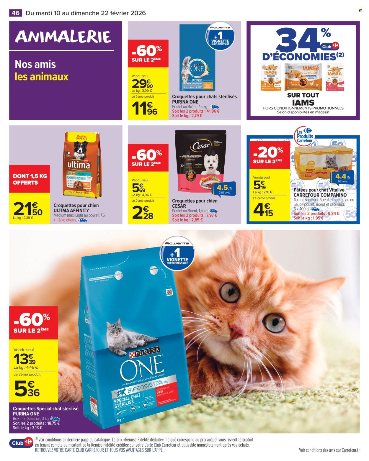 Catalogue Carrefour Market - 10/02/2026 - 22/02/2026. Page 48