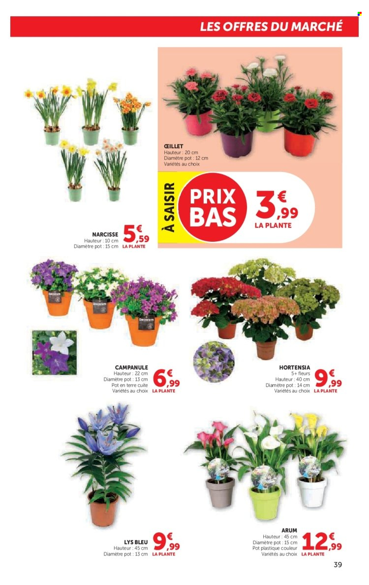 Catalogue HYPER U - 17/02/2026 - 15/03/2026. Page 39