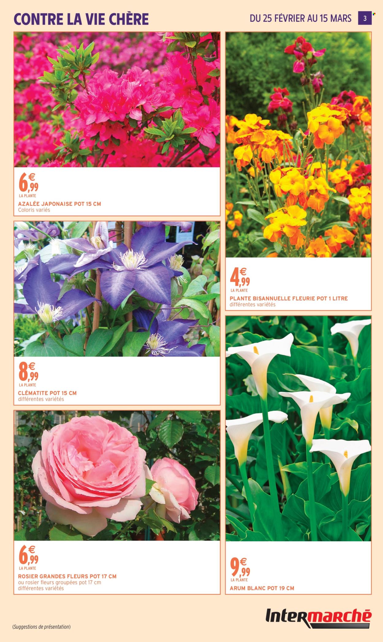 Catalogue Intermarché - 24/02/2026 - 15/03/2026. Page 3
