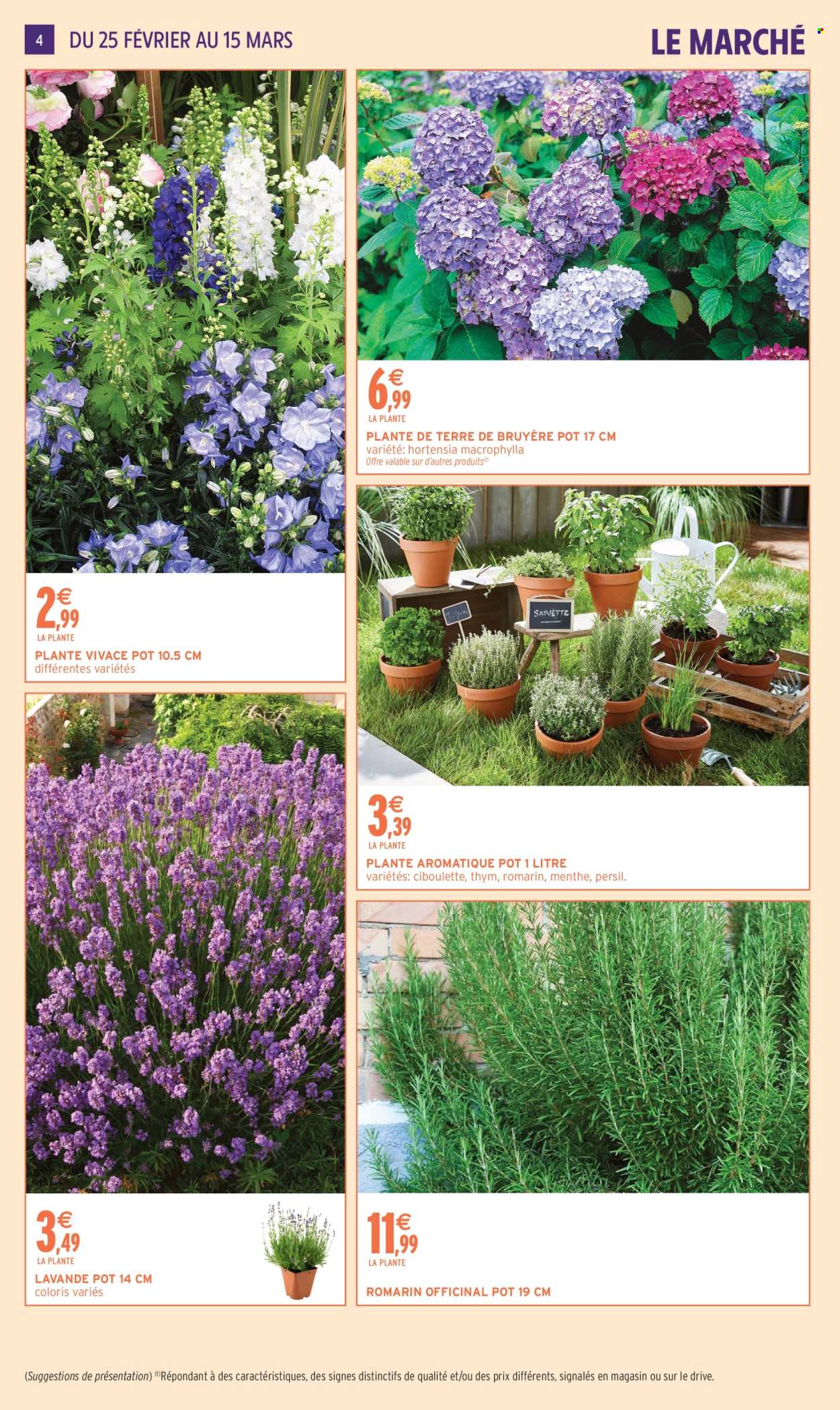 Catalogue Intermarché - 24/02/2026 - 15/03/2026. Page 4