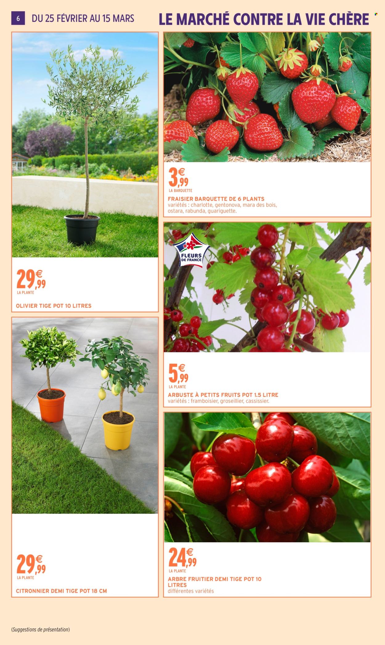Catalogue Intermarché - 24/02/2026 - 15/03/2026. Page 6