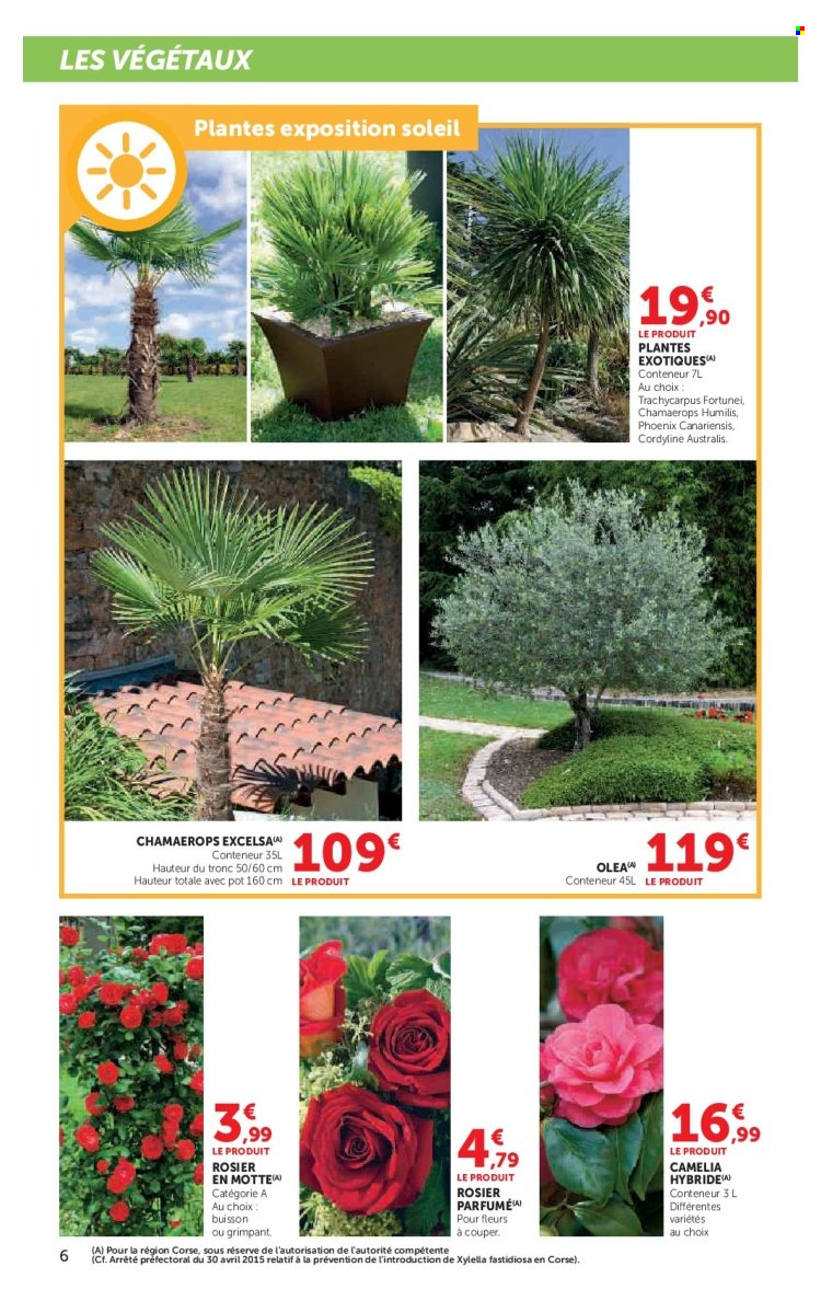 Catalogue SUPER U - 24/02/2026 - 22/03/2026. Page 6