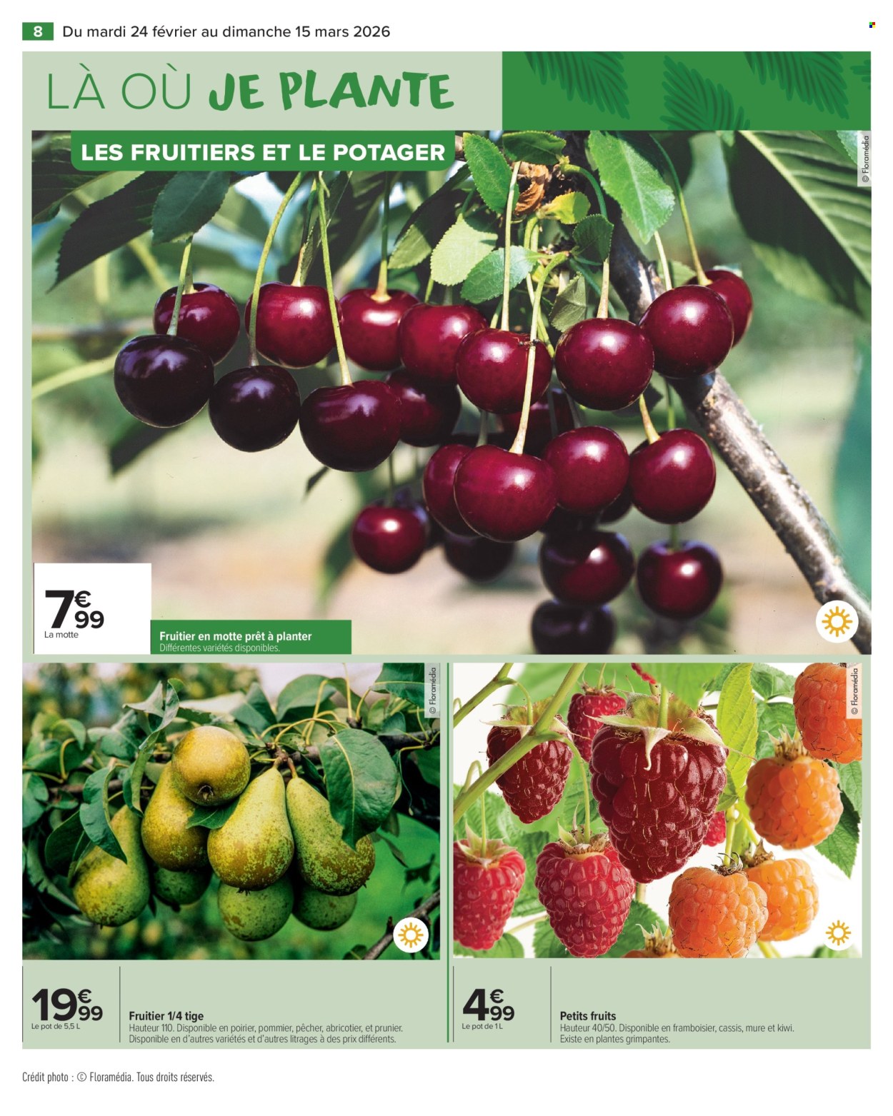 Catalogue Carrefour Market - 24/02/2026 - 15/03/2026. Page 10
