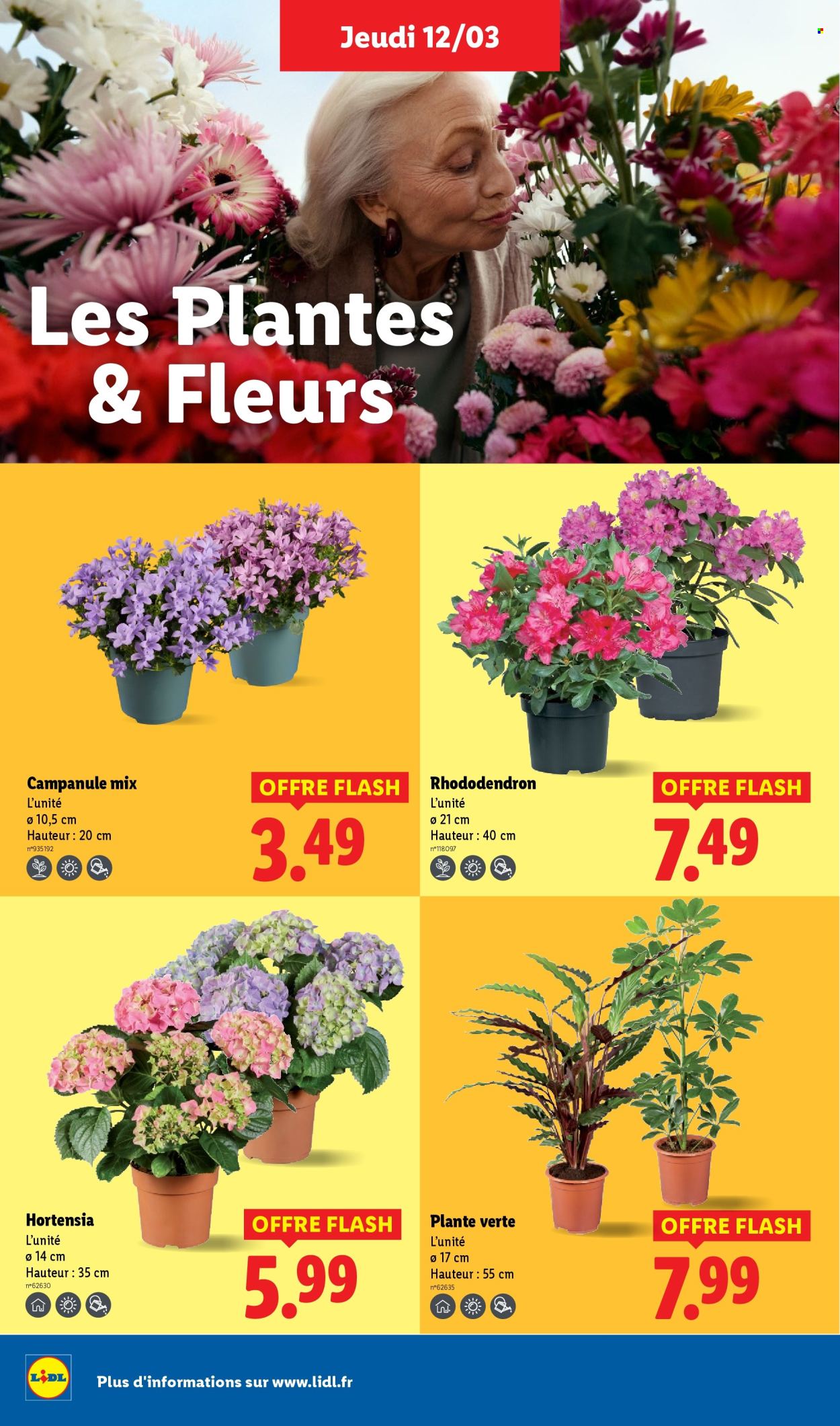 Catalogue Lidl - 12/03/2026 - 18/03/2026. Page 26
