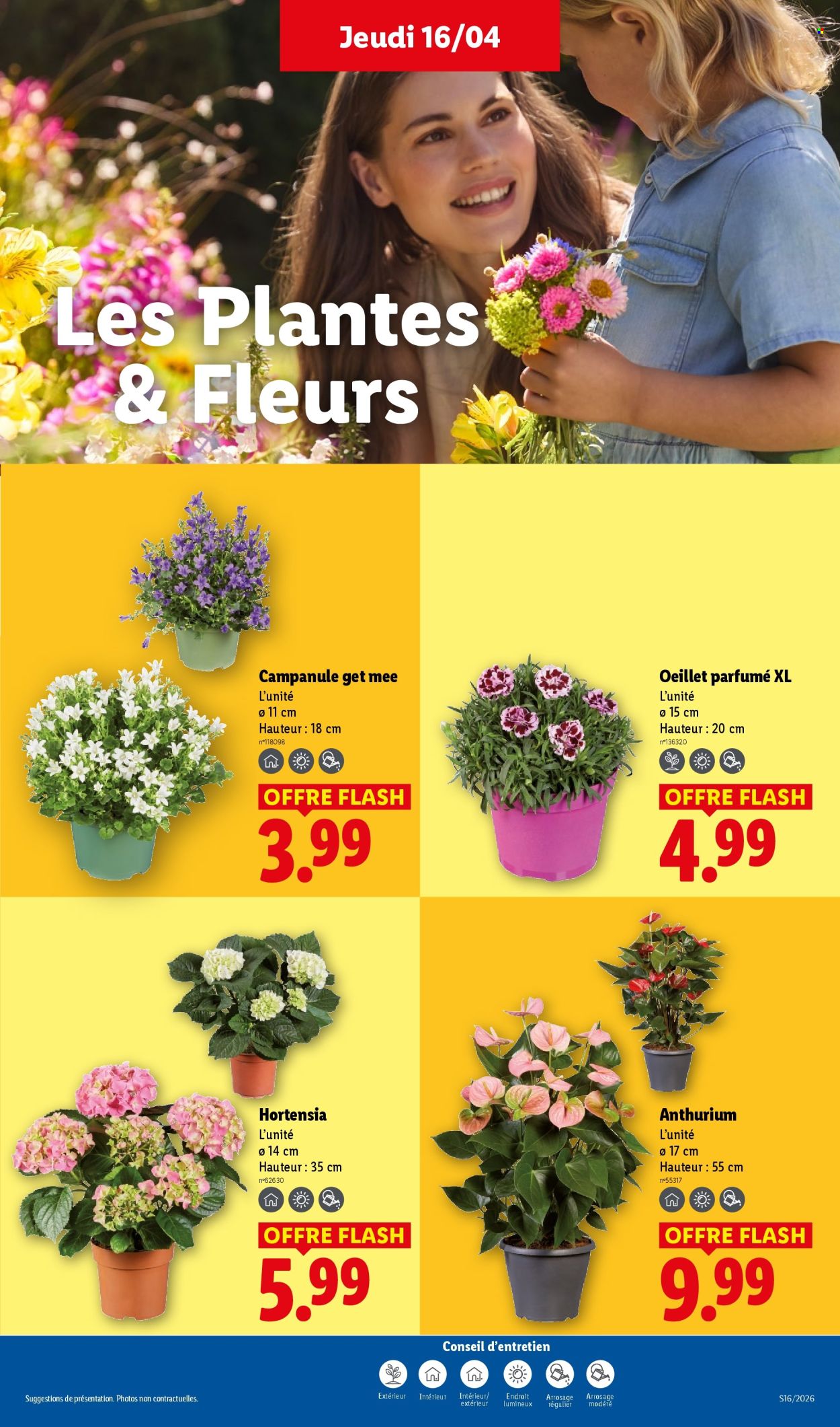 Catalogue Lidl - 16/04/2026 - 22/04/2026. Page 25