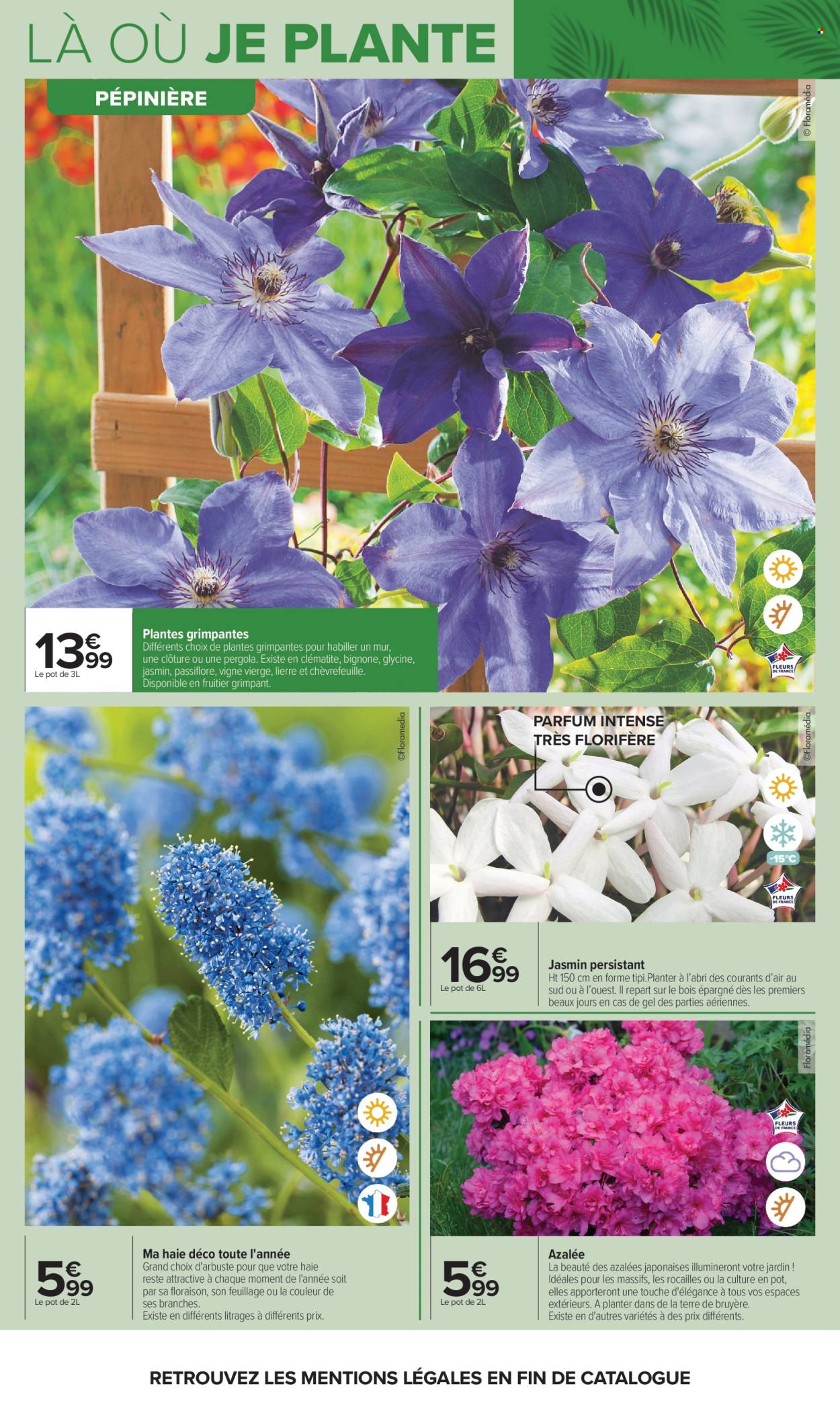 Catalogue Carrefour Hypermarchés - 14/04/2026 - 27/04/2026. Page 6