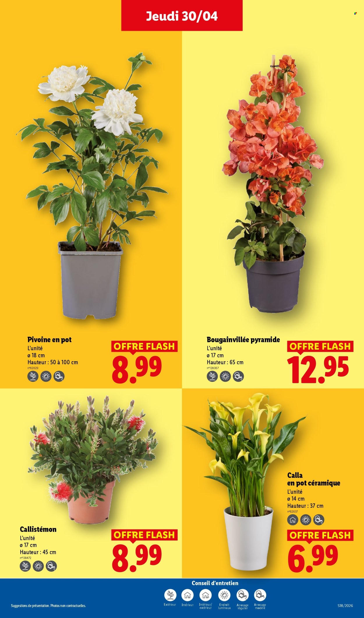 Catalogue Lidl - 30/04/2026 - 06/05/2026. Page 27