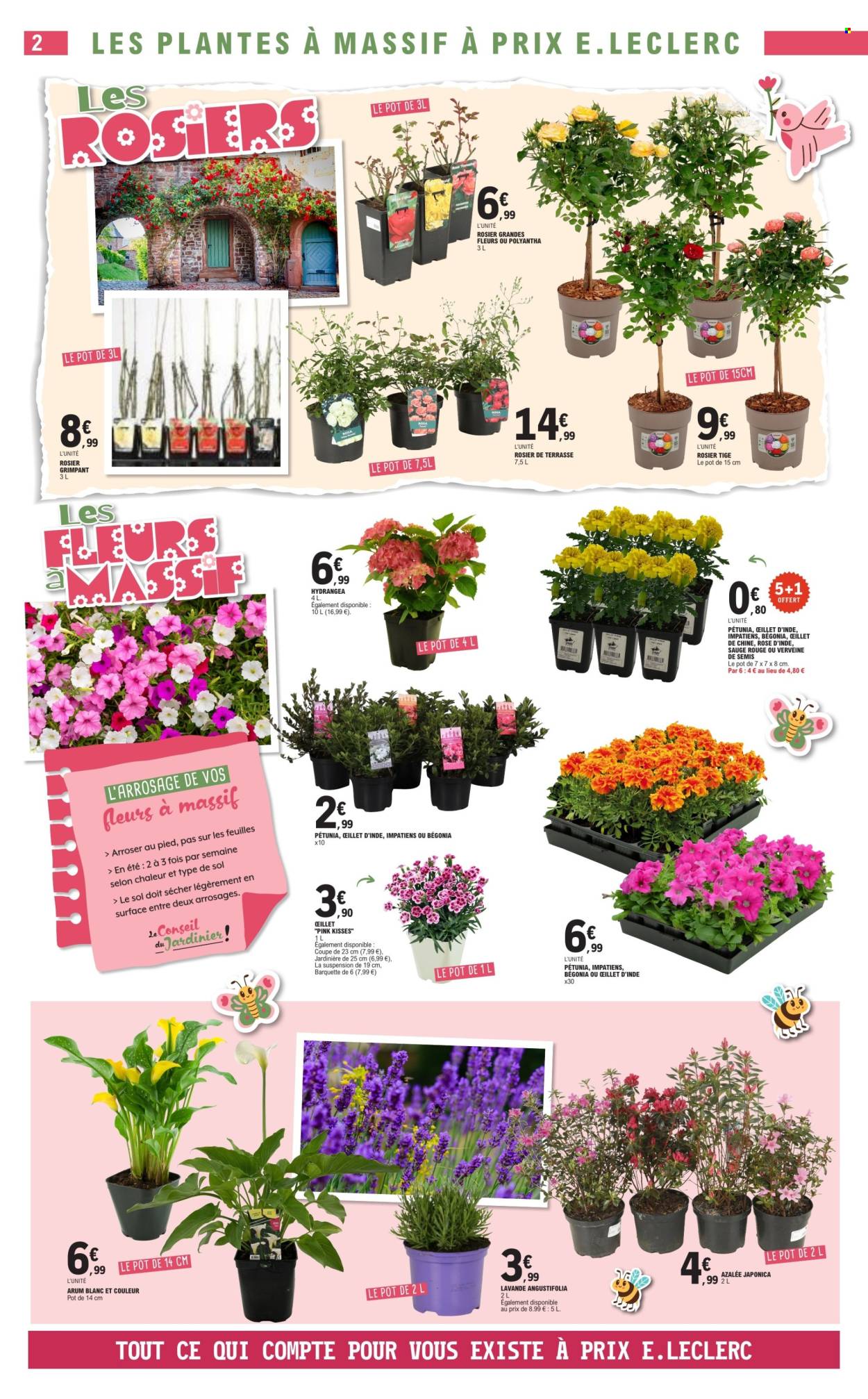 Catalogue E.Leclerc - 28/04/2026 - 09/05/2026. Page 2