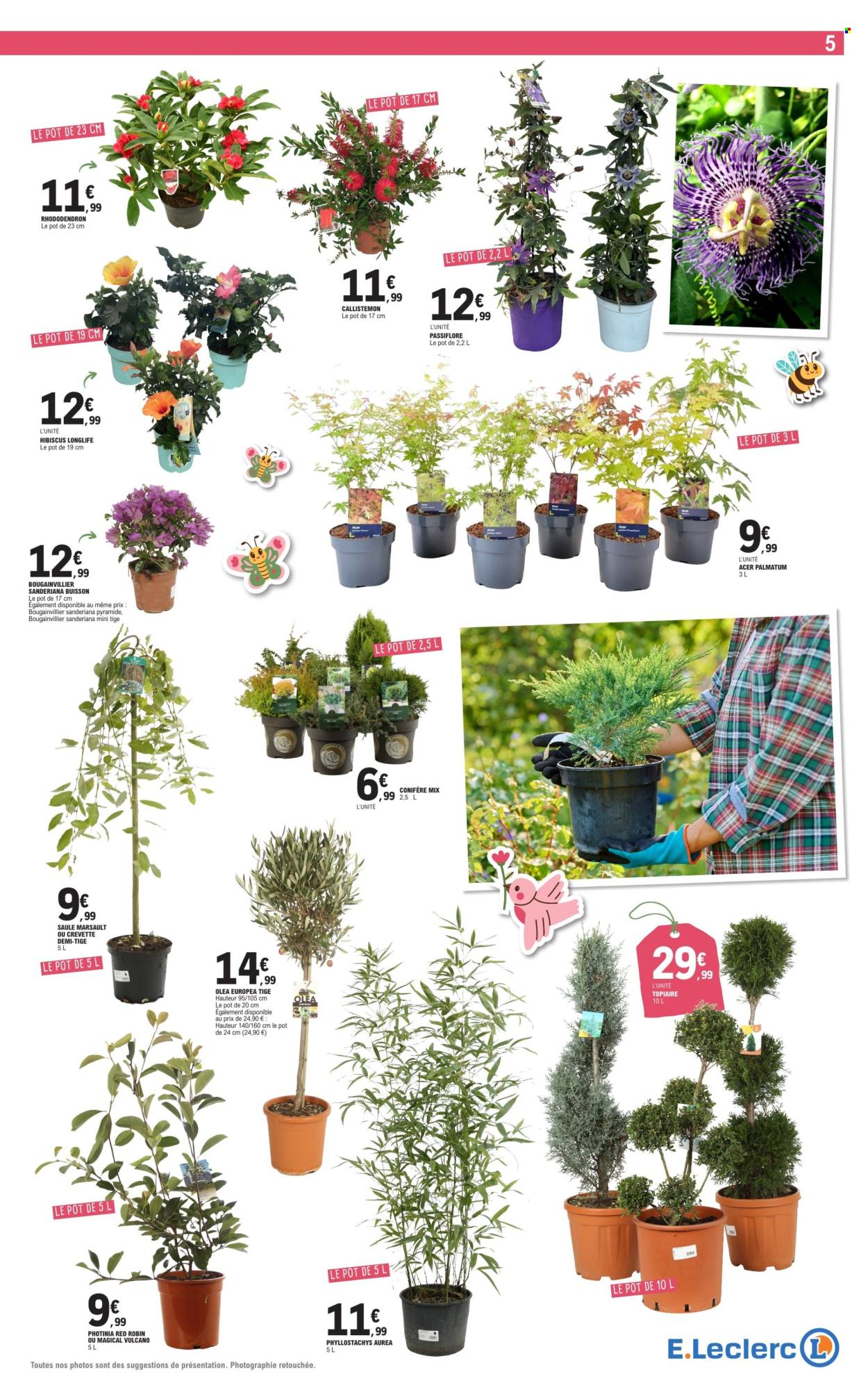 Catalogue E.Leclerc - 28/04/2026 - 09/05/2026. Page 5