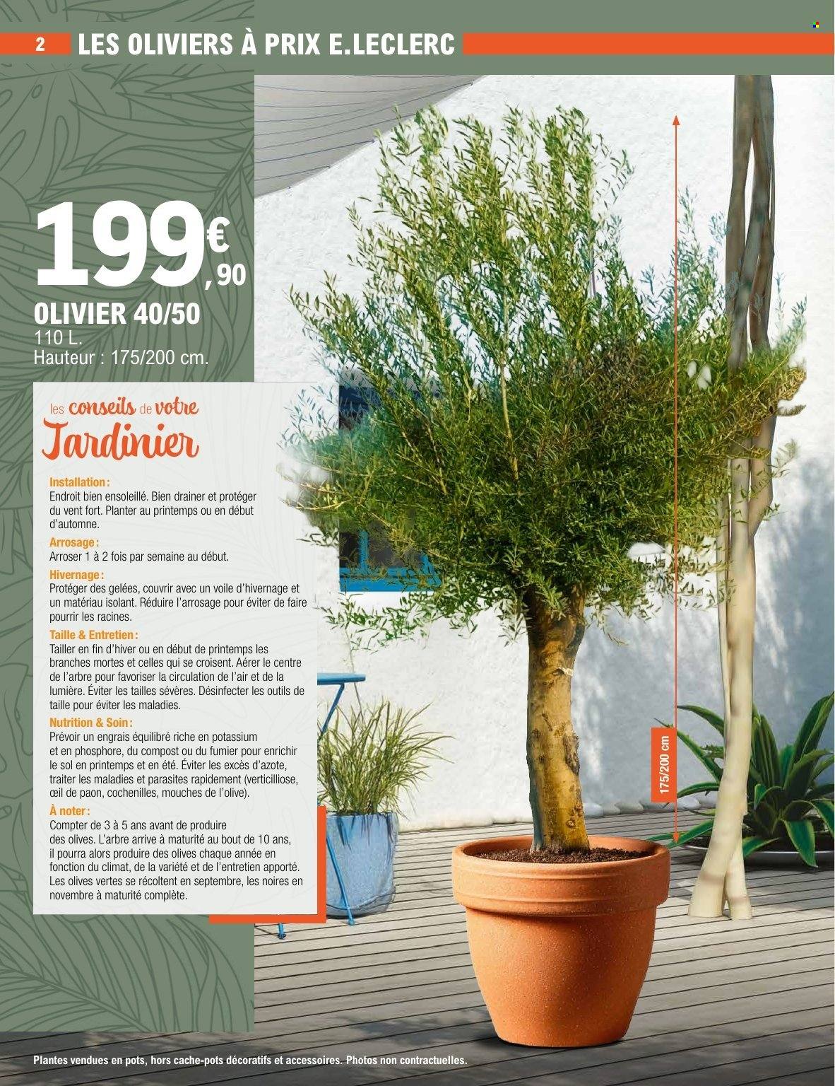 Catalogue E.Leclerc - 28/04/2026 - 09/05/2026. Page 2