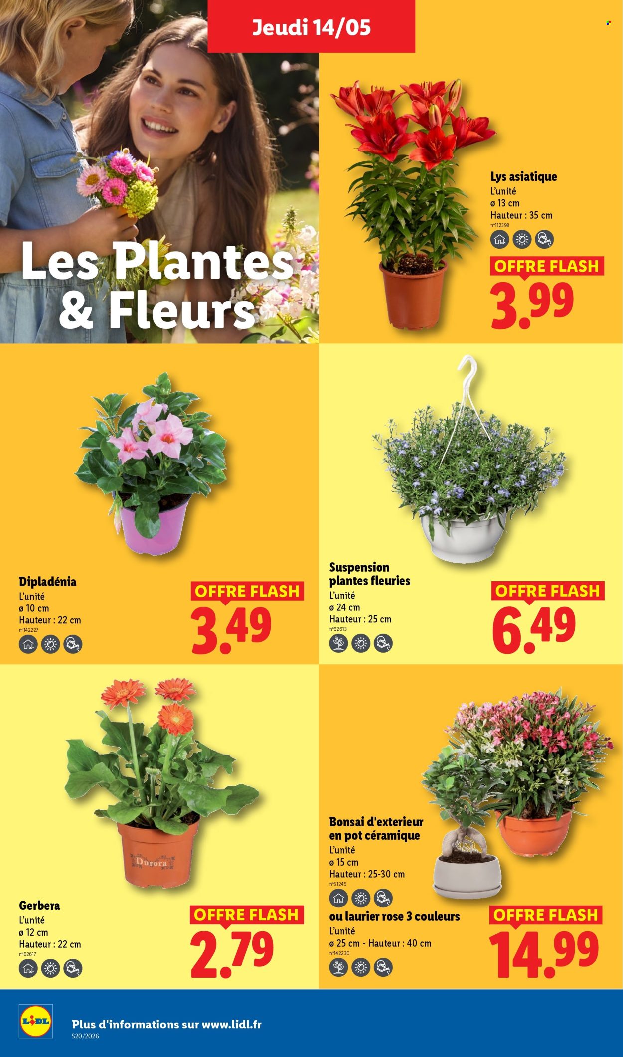 Catalogue Lidl - 14/05/2026 - 20/05/2026. Page 24
