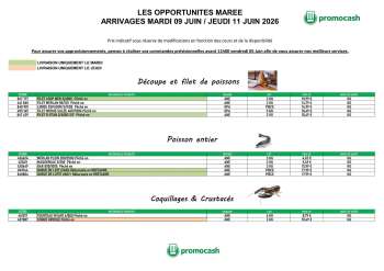 Catalogue Promocash - 09/06/2026 - 11/06/2026.