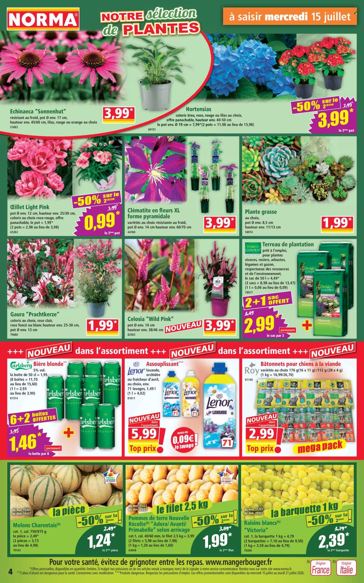 Catalogue Norma - 15/07/2026 - 21/07/2026. Page 4