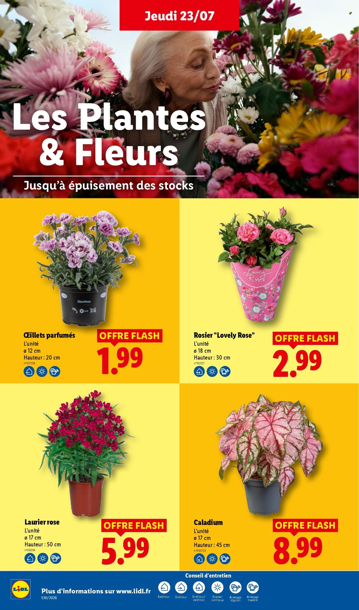 Catalogue Lidl - 23/07/2026 - 29/07/2026. Page 30