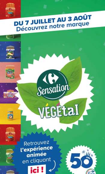 Catalogue Carrefour - 07/07/2026 - 03/08/2026.