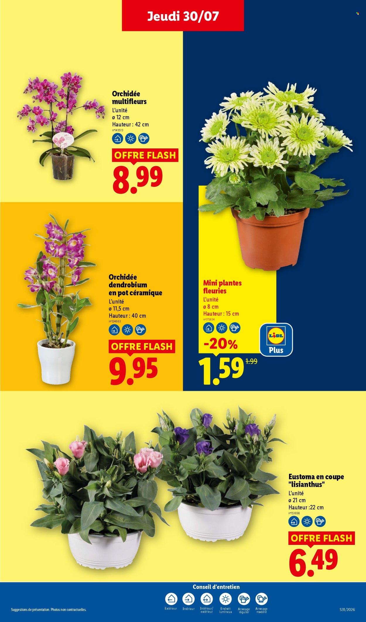 Catalogue Lidl - 30/07/2026 - 05/08/2026. Page 29