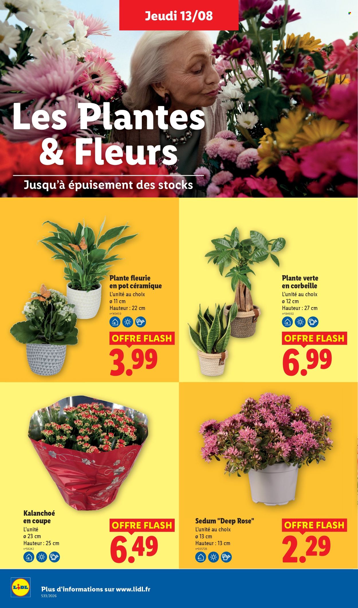 Catalogue Lidl - 13/08/2026 - 19/08/2026. Page 28