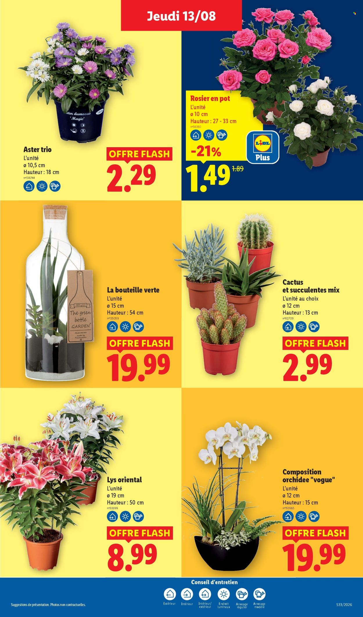 Catalogue Lidl - 13/08/2026 - 19/08/2026. Page 29