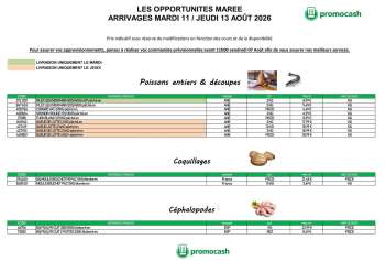 Catalogue Promocash - 11/08/2026 - 13/08/2026.