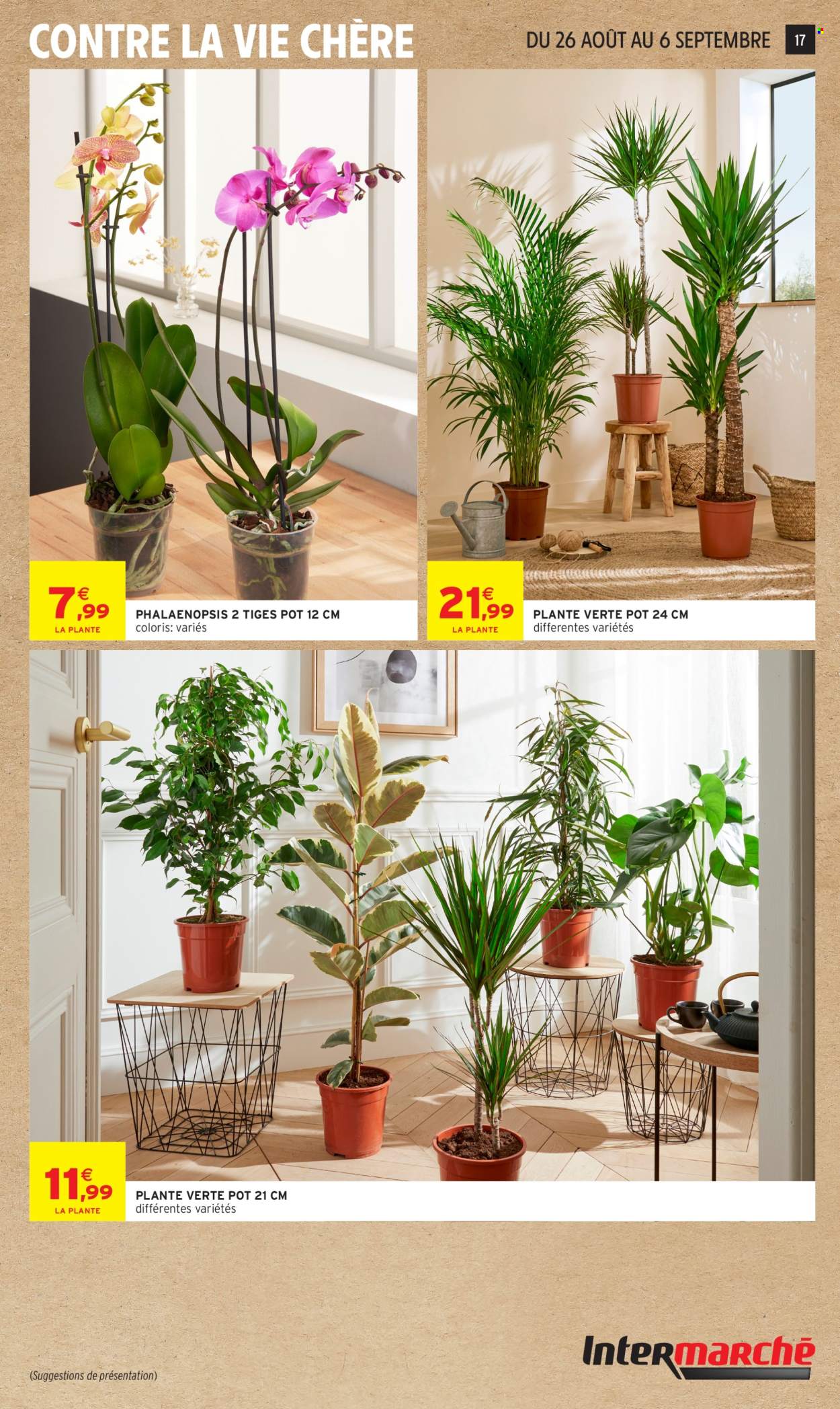 Catalogue Intermarché Hyper - 25/08/2026 - 06/09/2026. Page 17