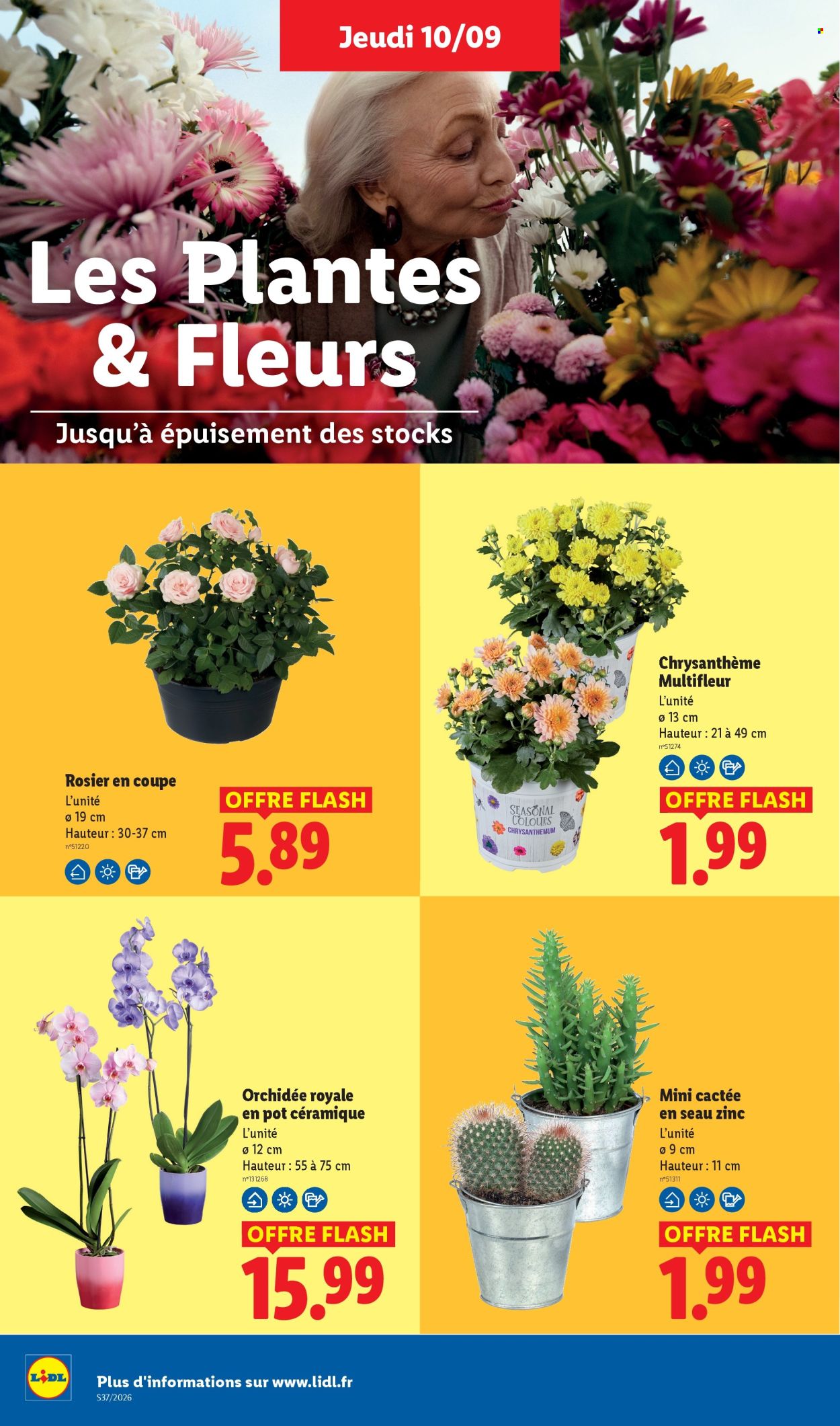 Catalogue Lidl - 10/09/2026 - 16/09/2026. Page 48