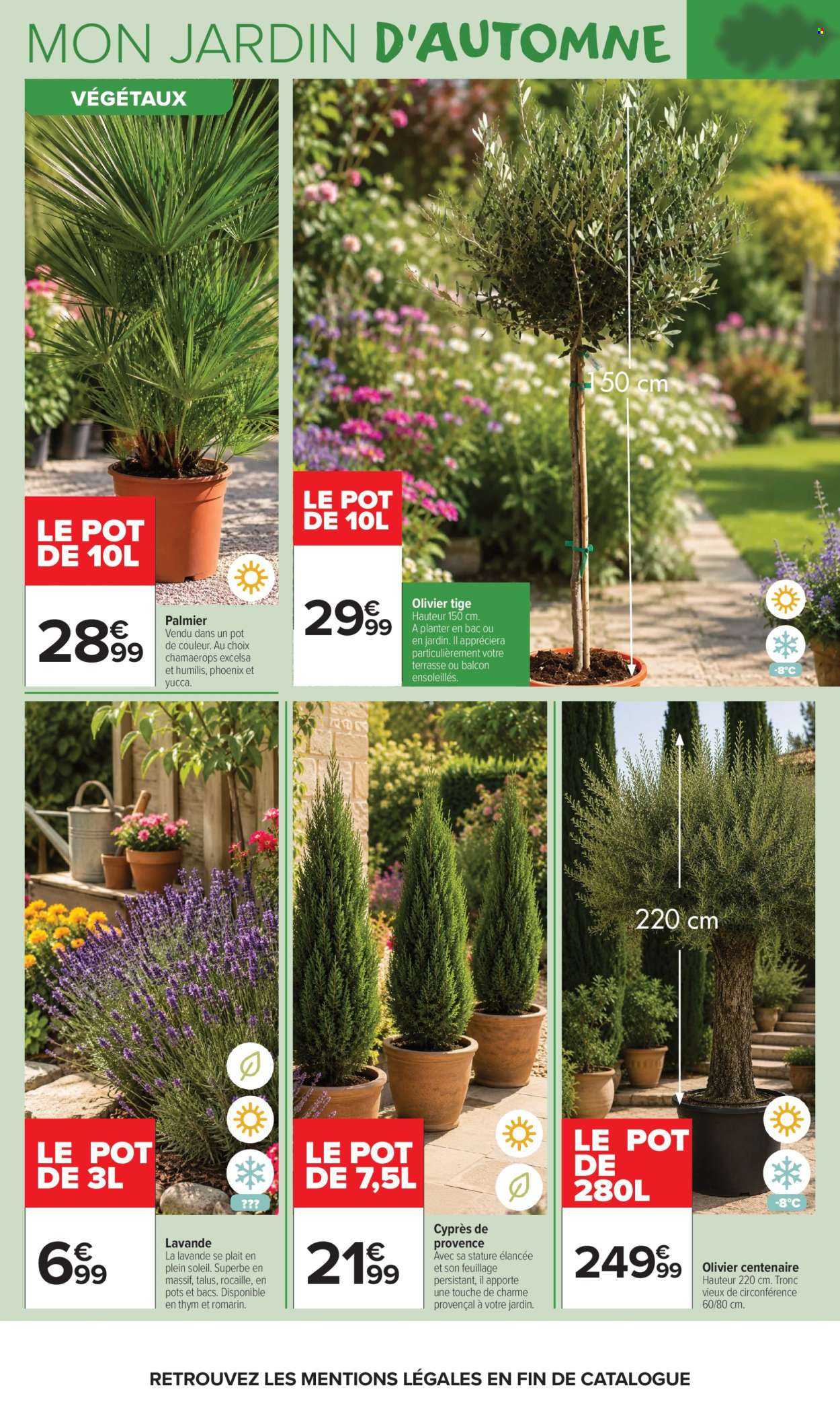 Catalogue Carrefour Market - 22/09/2026 - 11/10/2026. Page 4