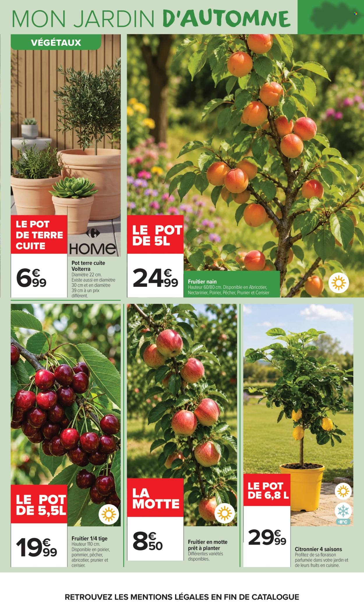 Catalogue Carrefour Market - 22/09/2026 - 11/10/2026. Page 5