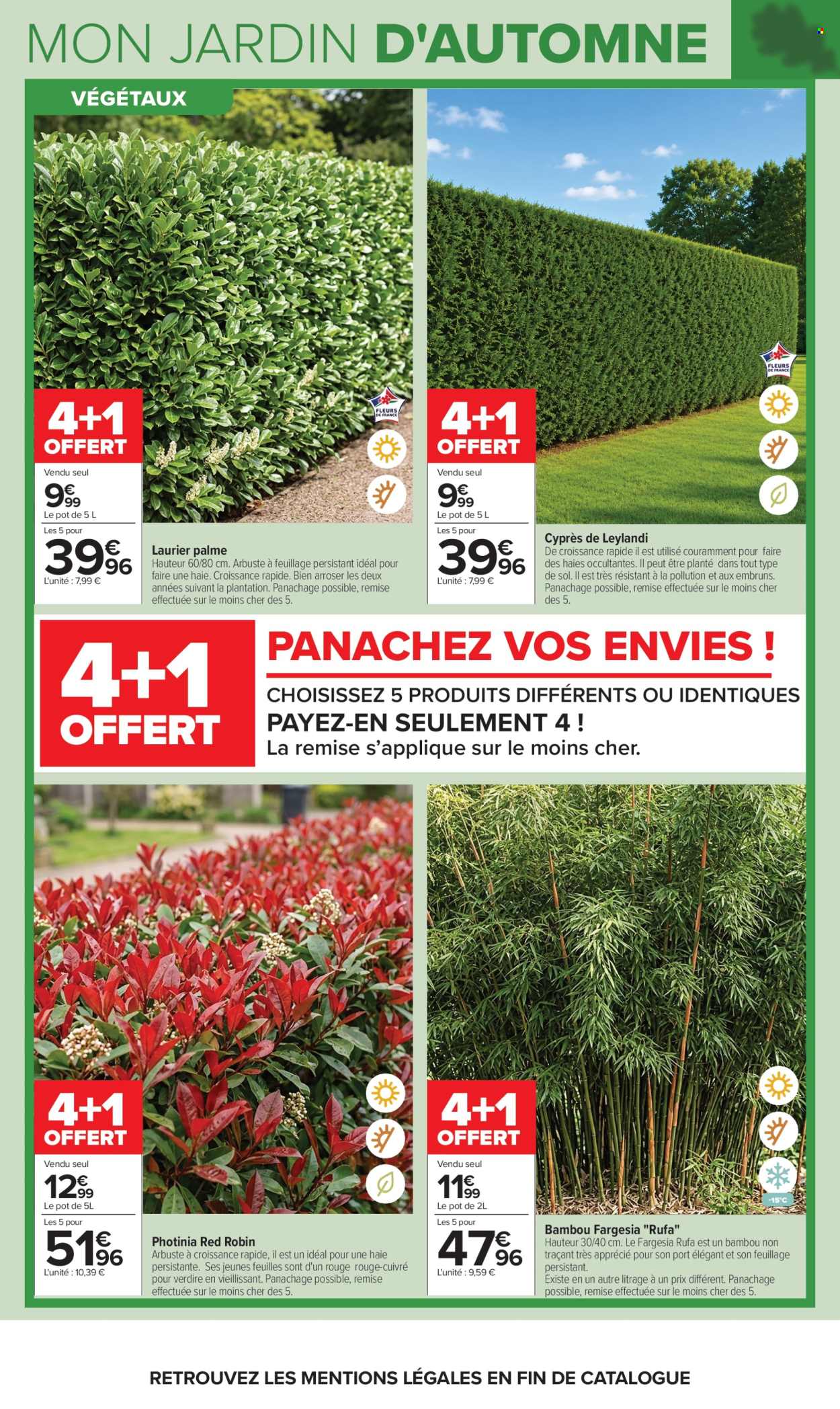 Catalogue Carrefour Hypermarchés - 29/09/2026 - 12/10/2026. Page 6