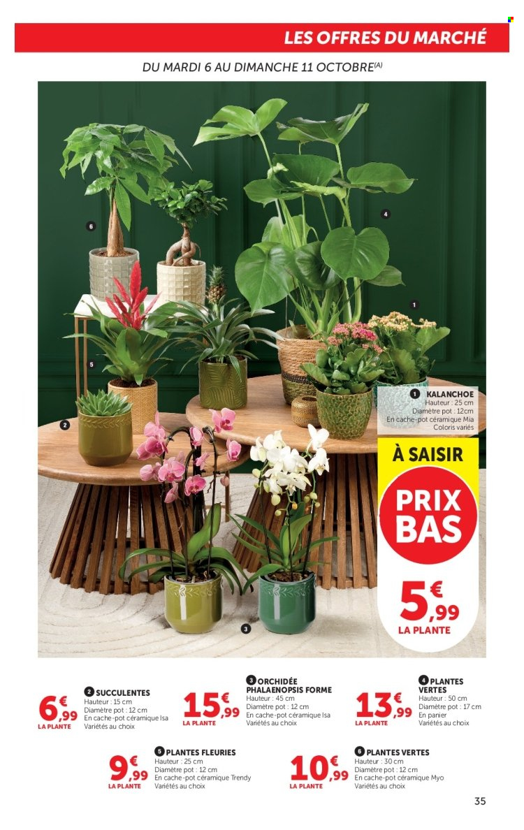 Catalogue HYPER U - 06/10/2026 - 18/10/2026. Page 35