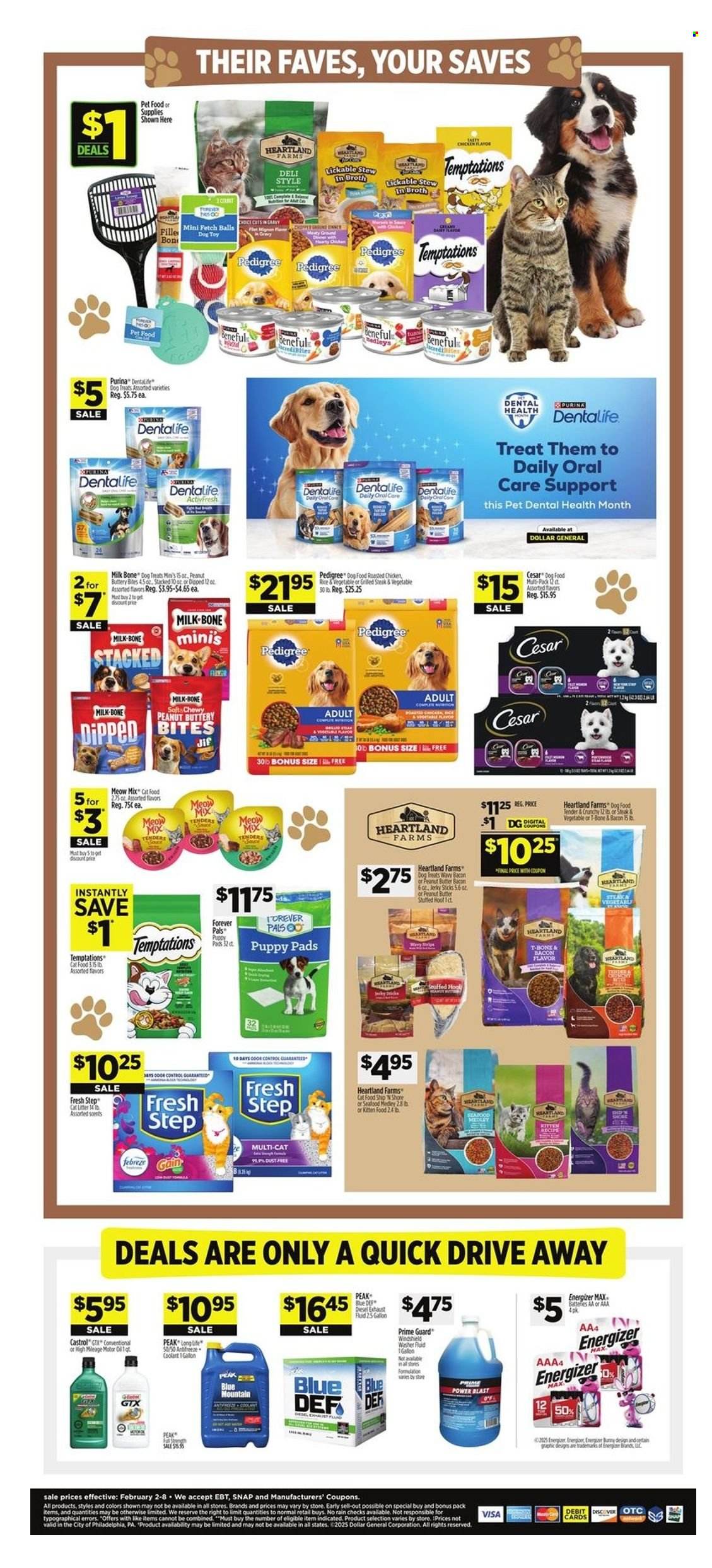 Dollar General ad - 02/02/2025 - 02/08/2025. Page 9