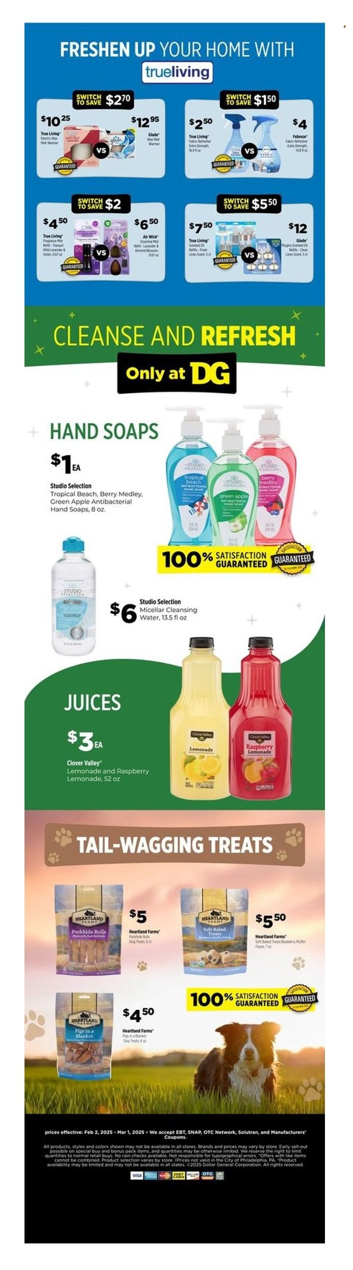 Dollar General ad - 02/02/2025 - 03/01/2025. Page 3