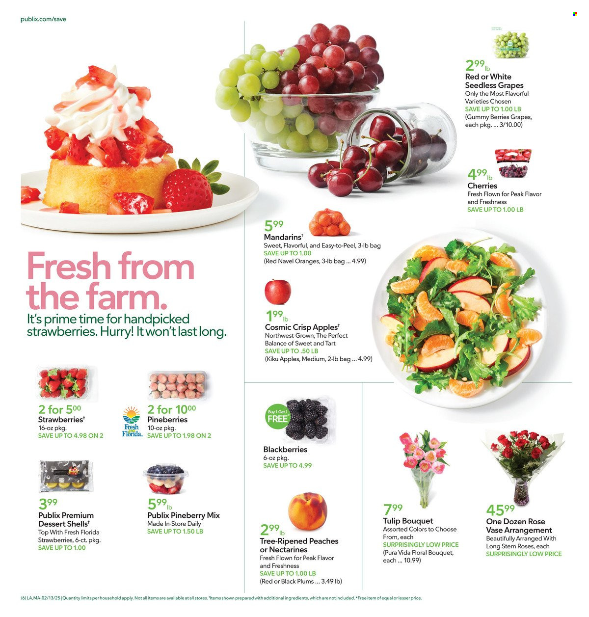 Publix ad - 02/13/2025 - 02/19/2025. Page 6